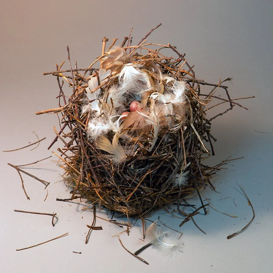 Wren's Nest Squared