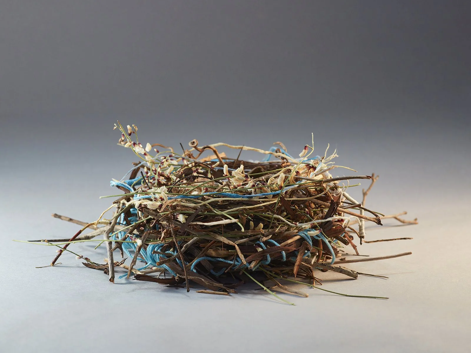 Empty Nests