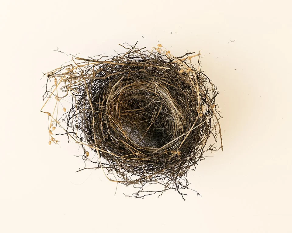 Roots and Adornment