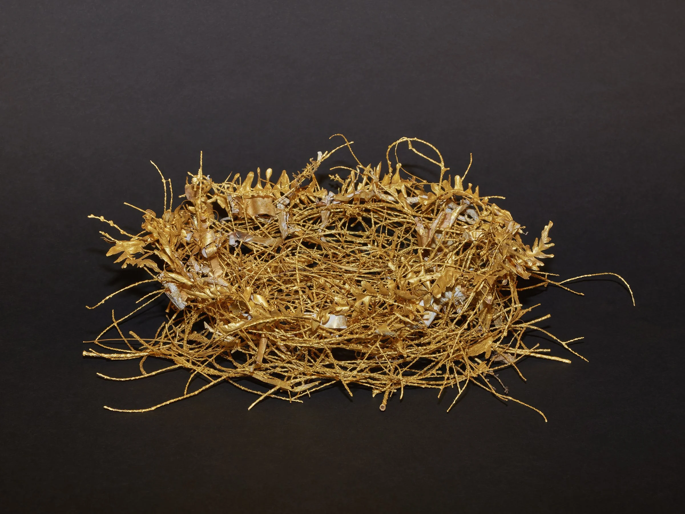 Gilded Fern LR.jpg