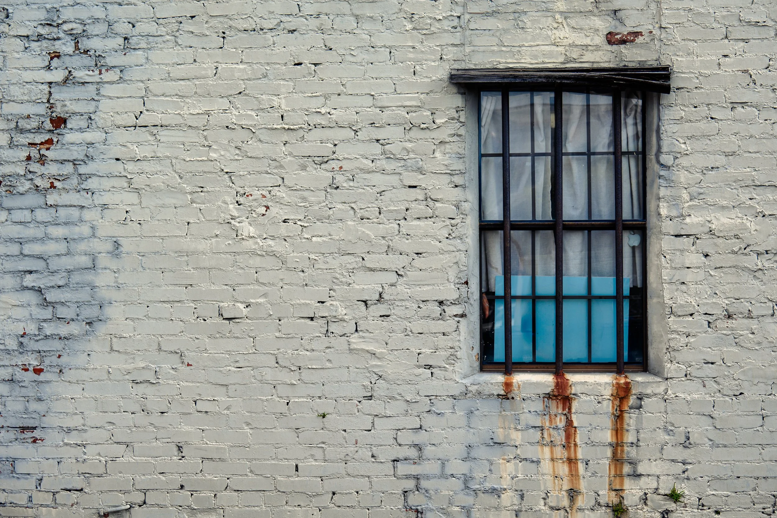 20260920-_DSC8228-Edit.jpg