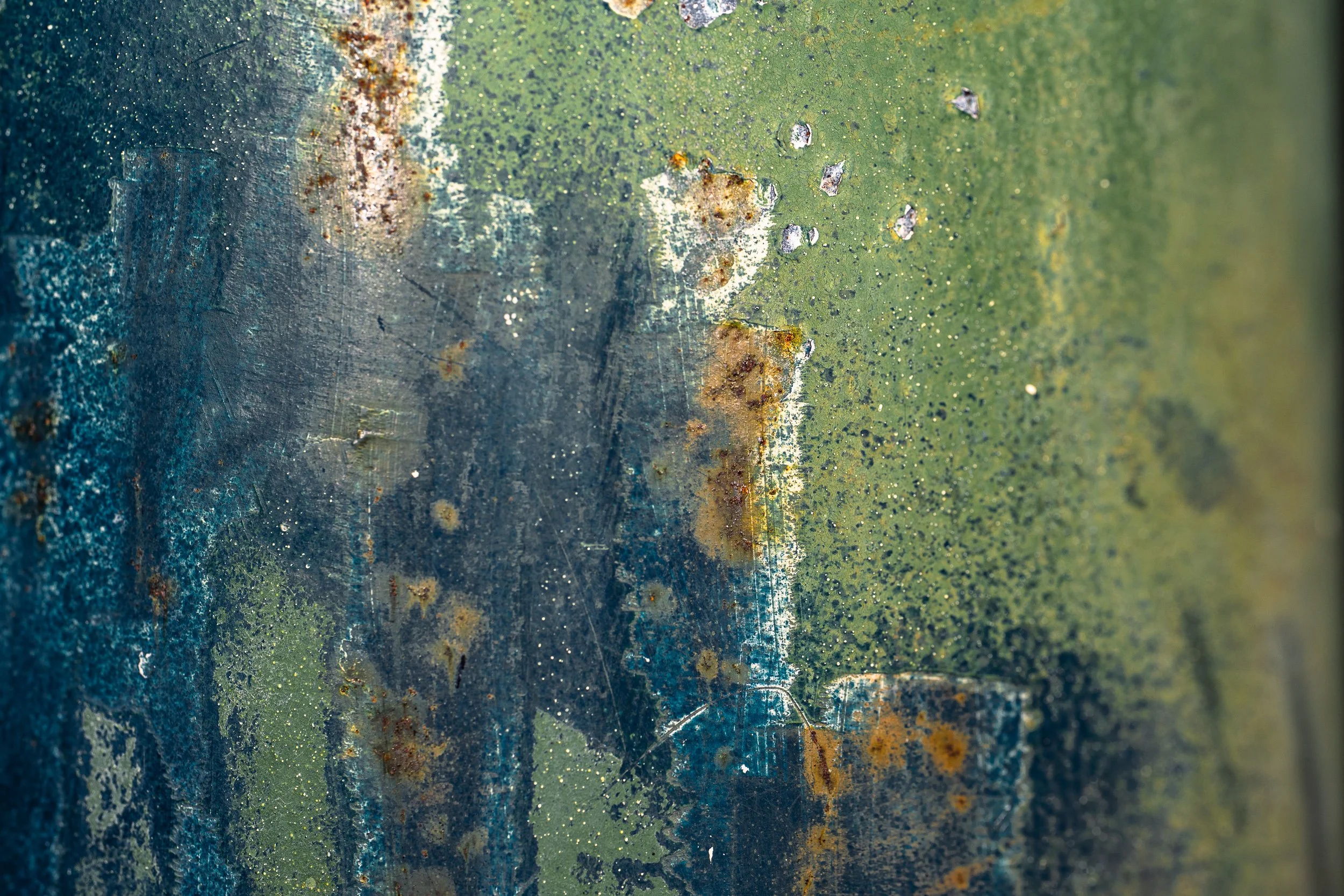 20260823-_DSC7776.jpg