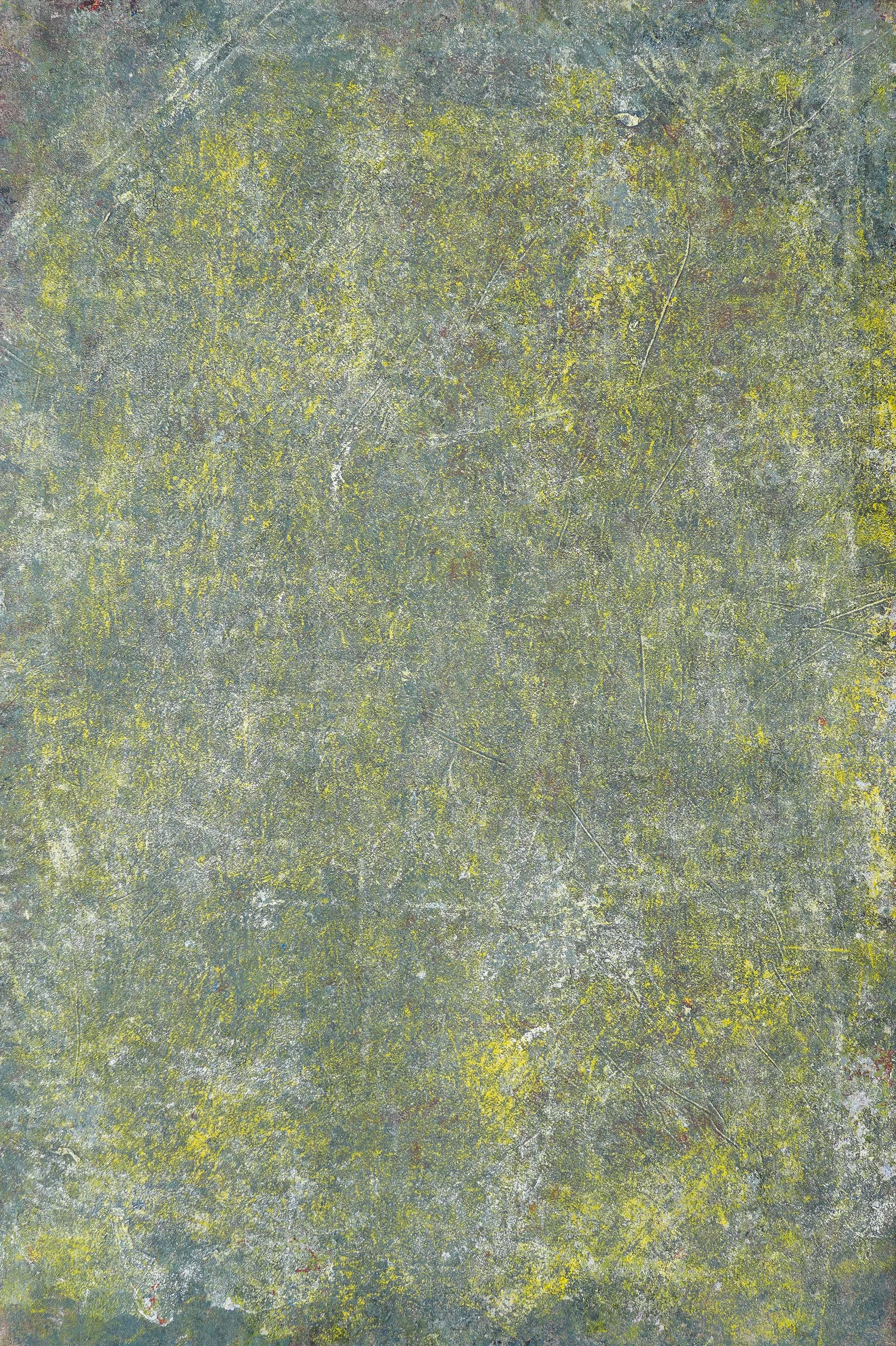 Close-up of a weathered, moss-covered gray stone surface with lichen and natural cracks