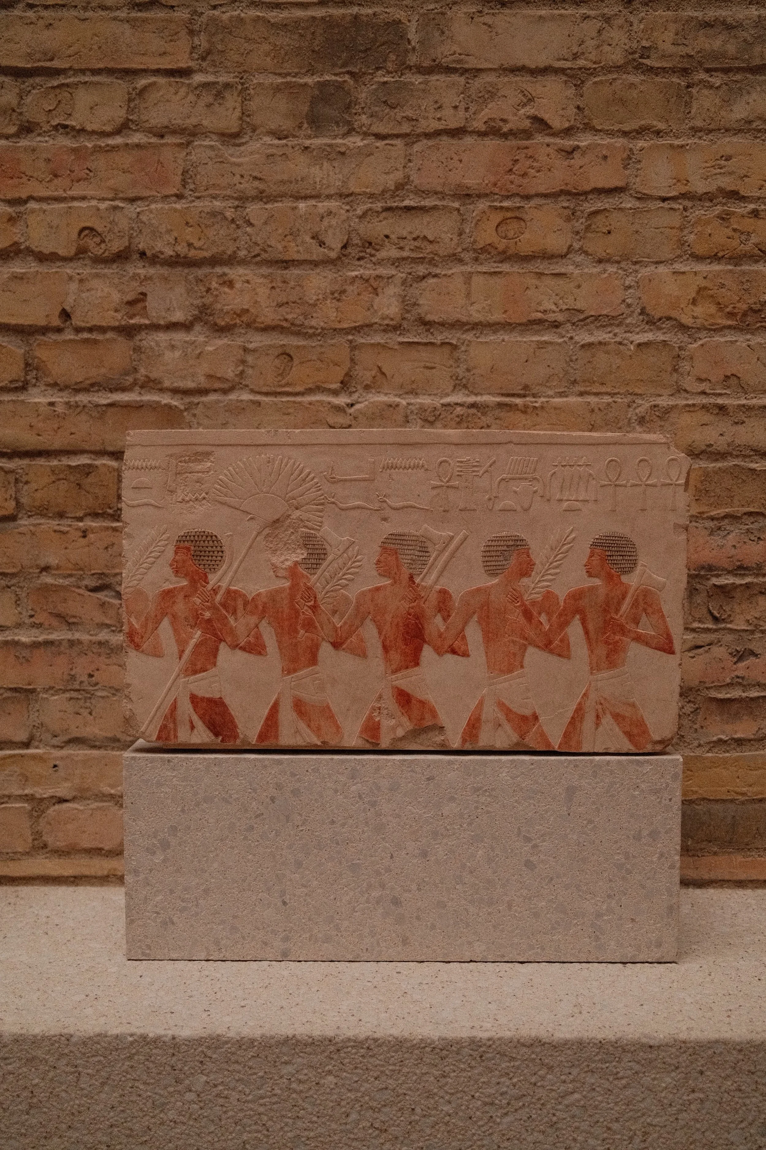 DSCF0230.JPG