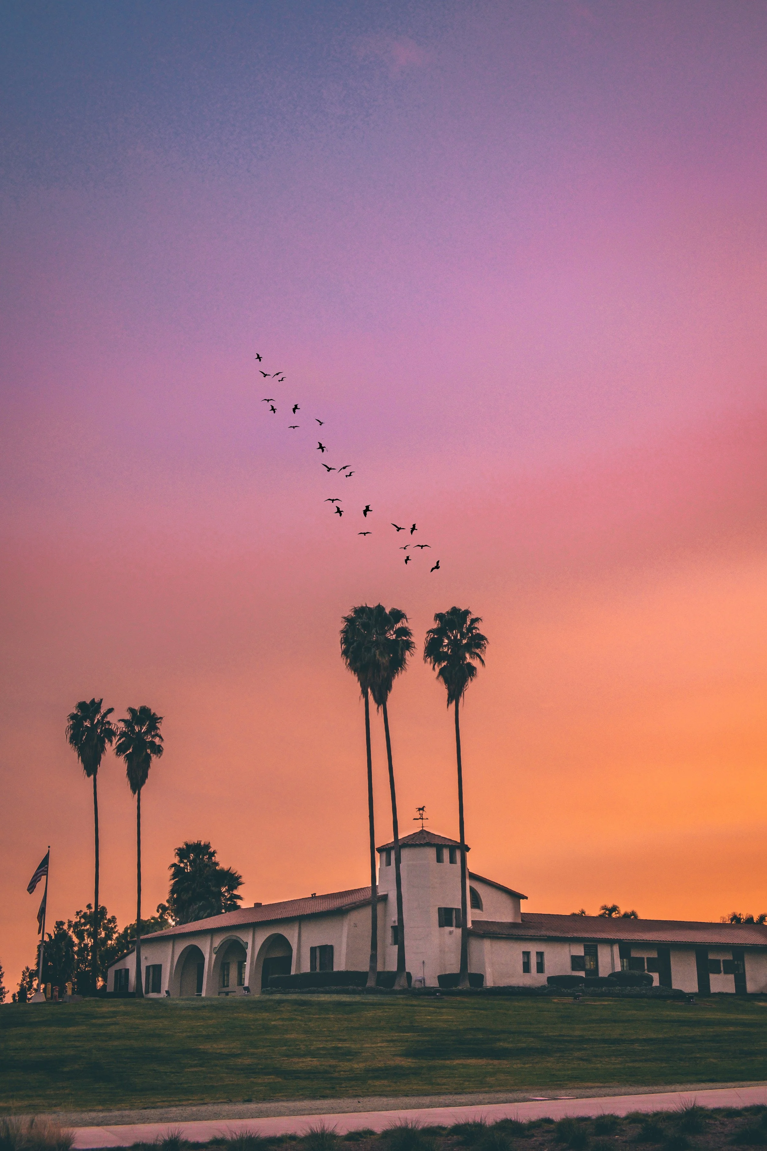 birdnight.JPEG