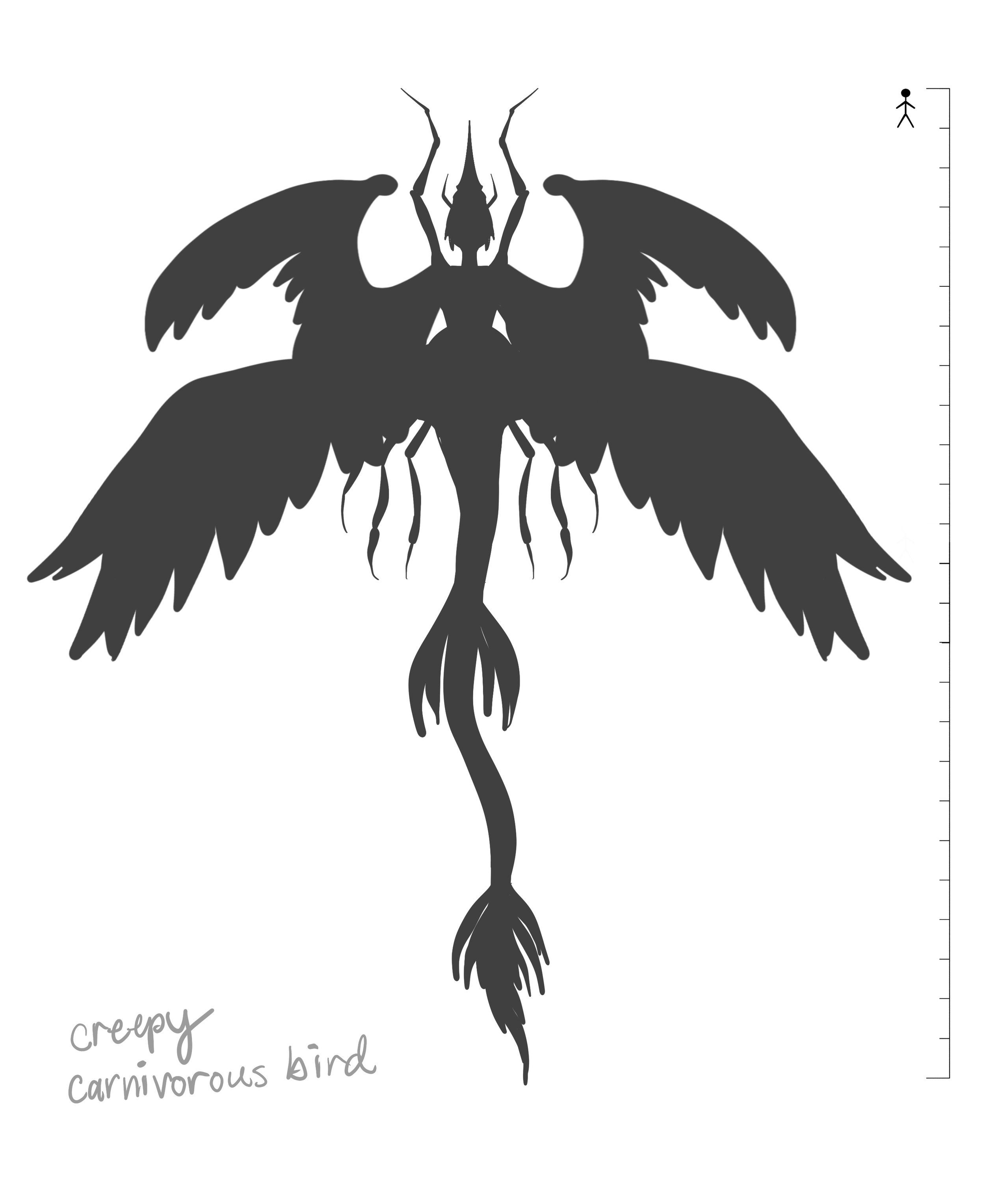 bird.jpg