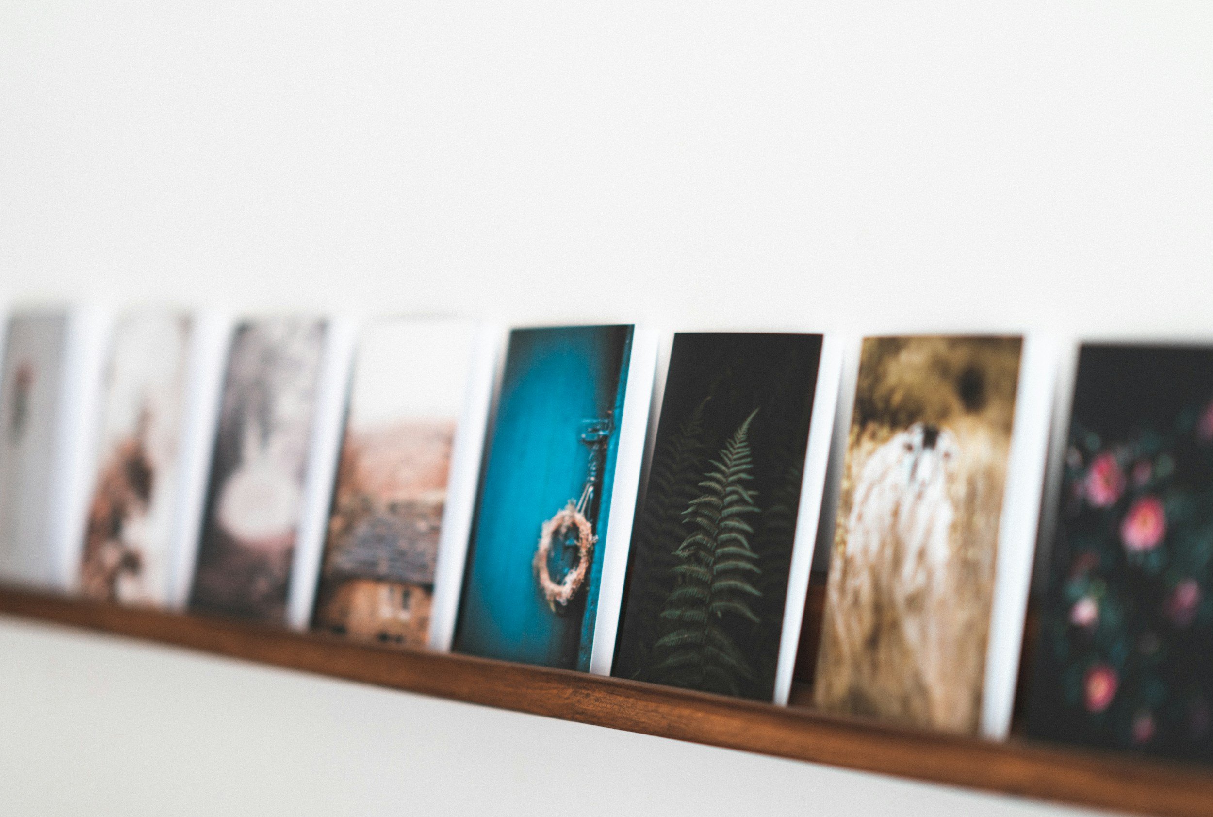 A row of photographs displayed on a wooden shelf, showing various nature scenes and objects.