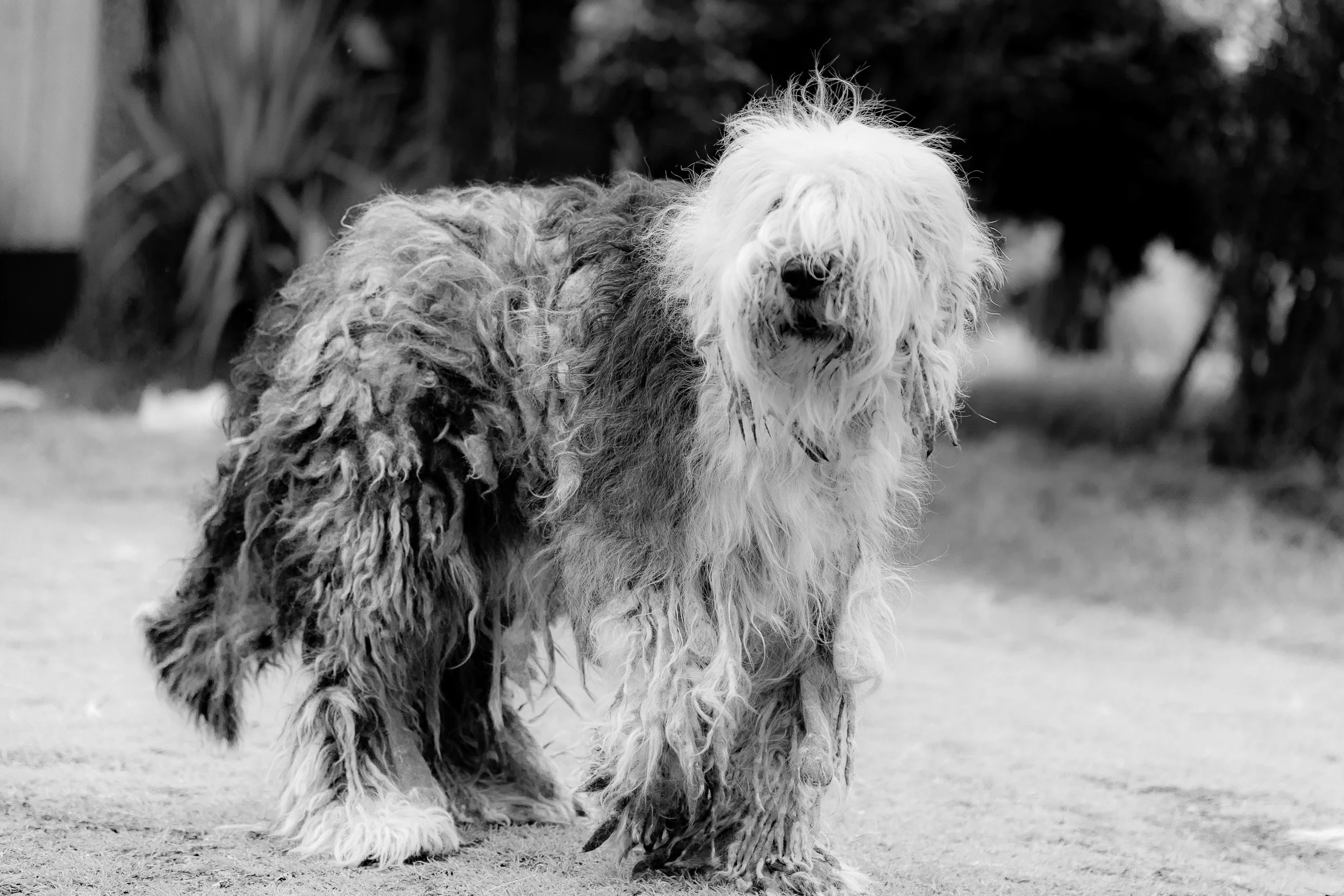 untitled (1 of 1)-88.jpg