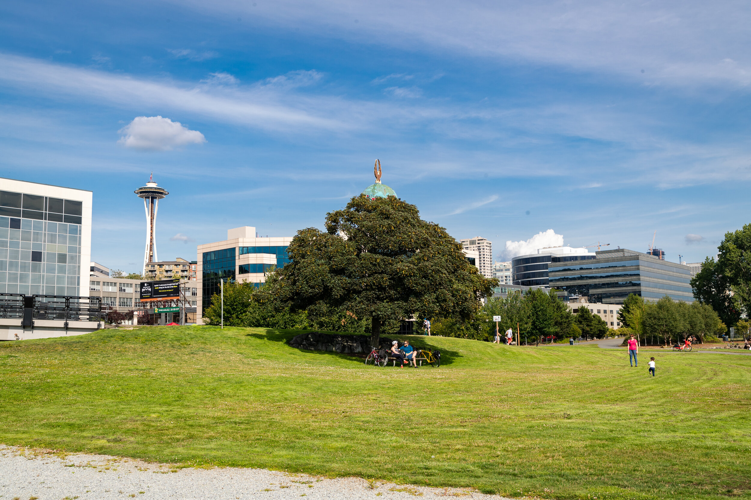 Queen Anne-8.jpg