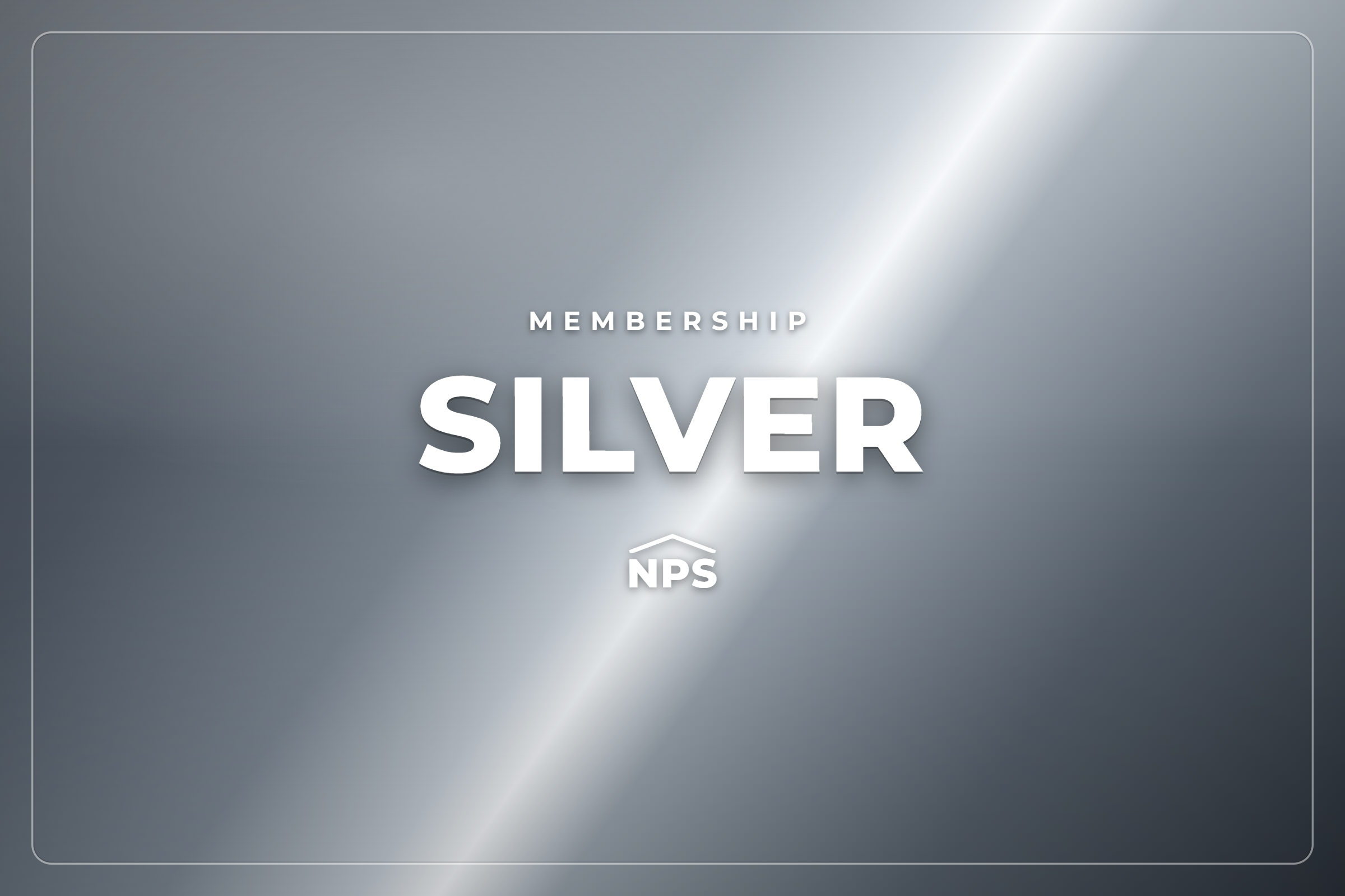Silver – web image@2x.png