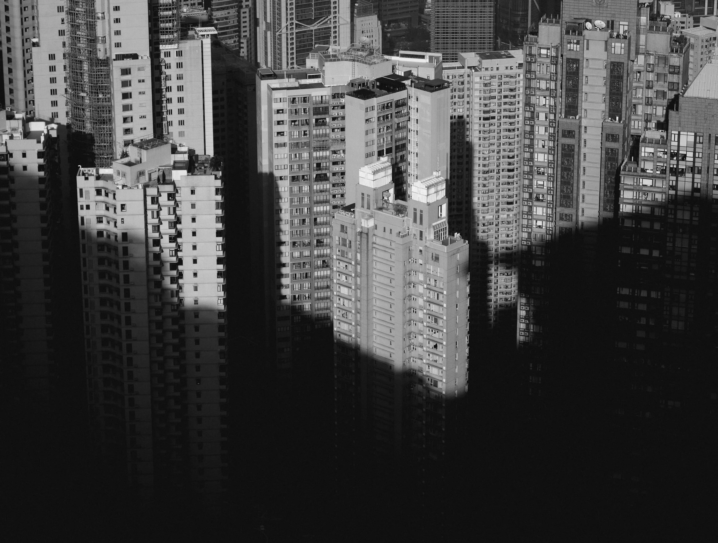 B00026243FR1765525940_denoised_d.jpg