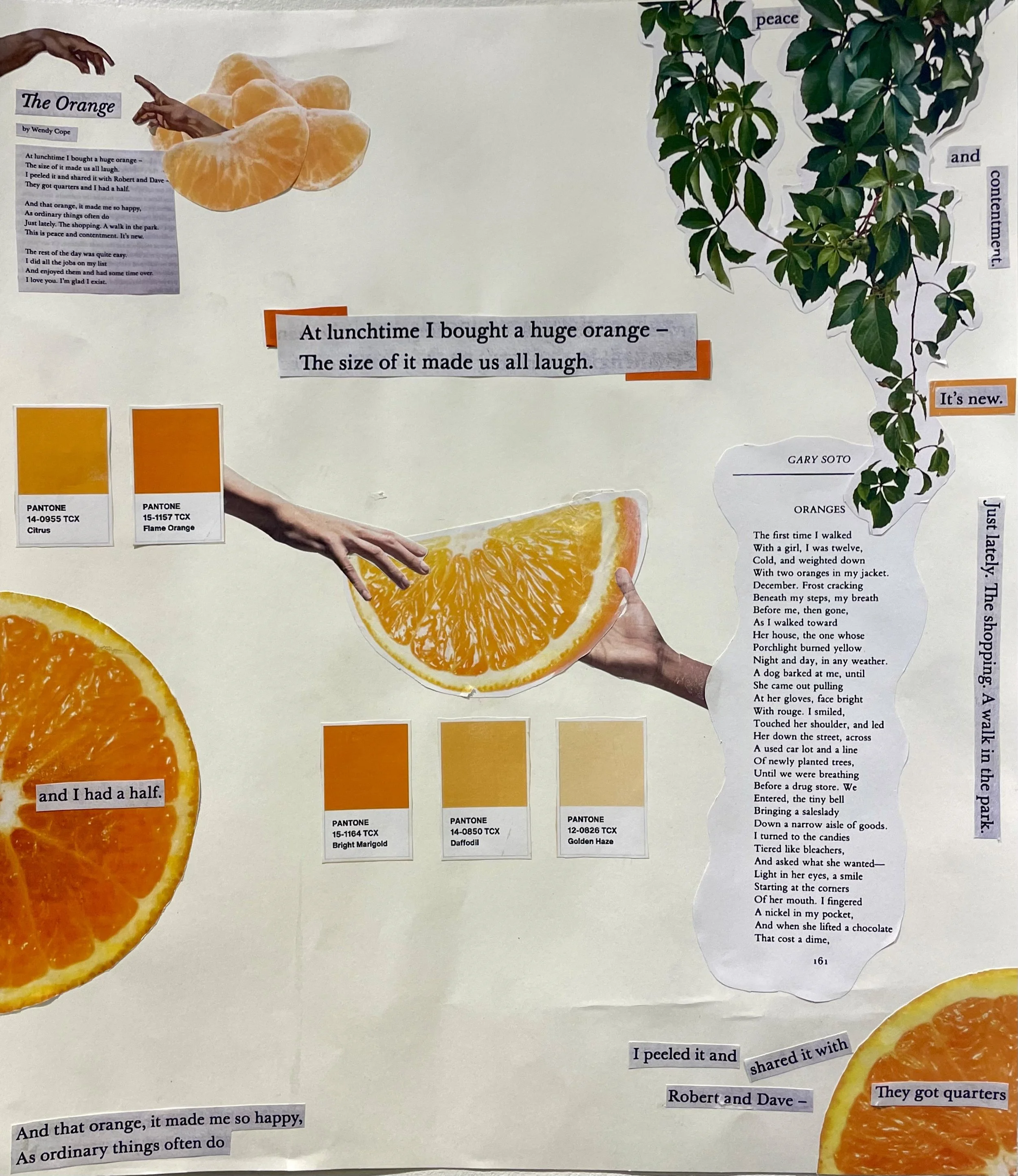 sharing (or, an orange) [is an expression of love]