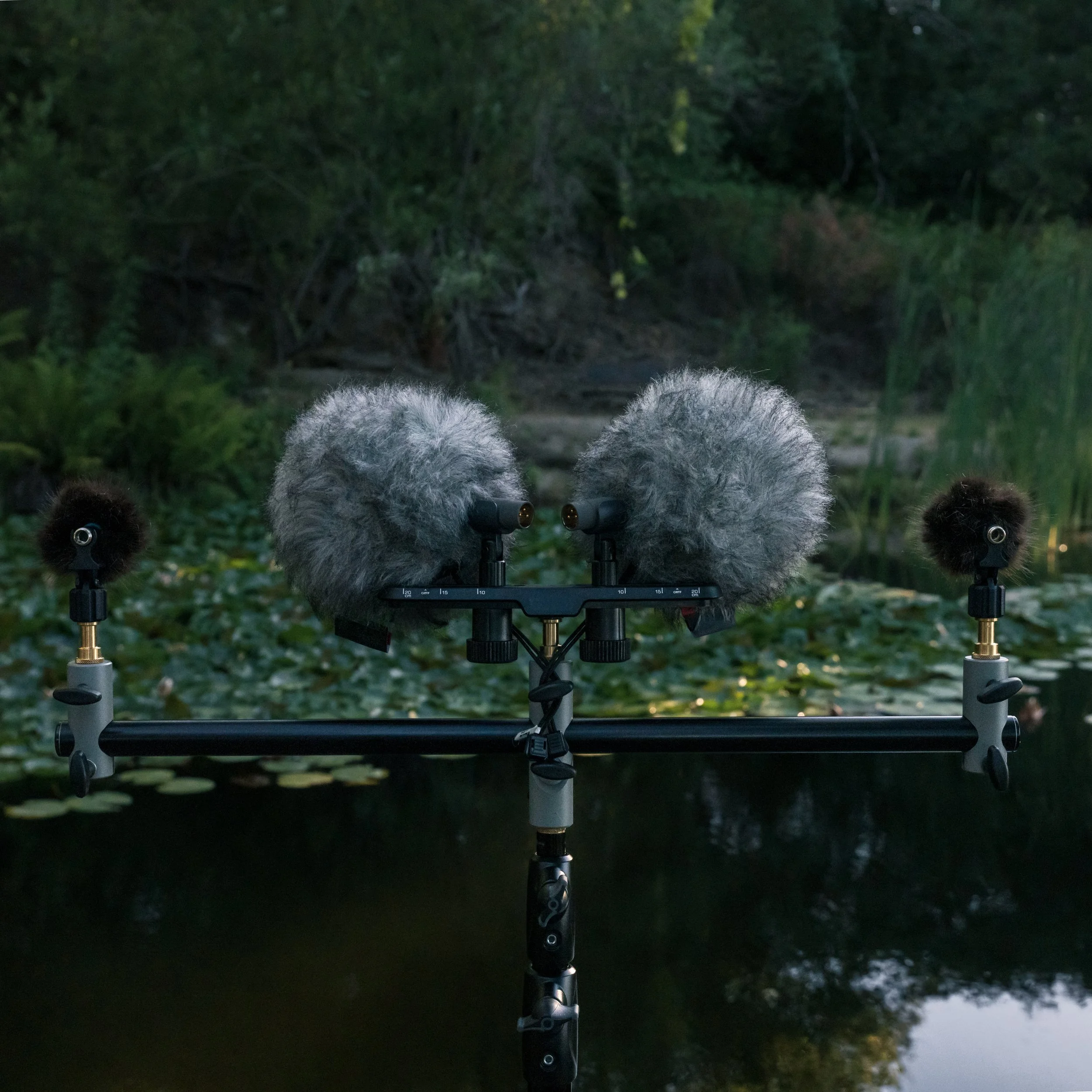 outdoor sounds