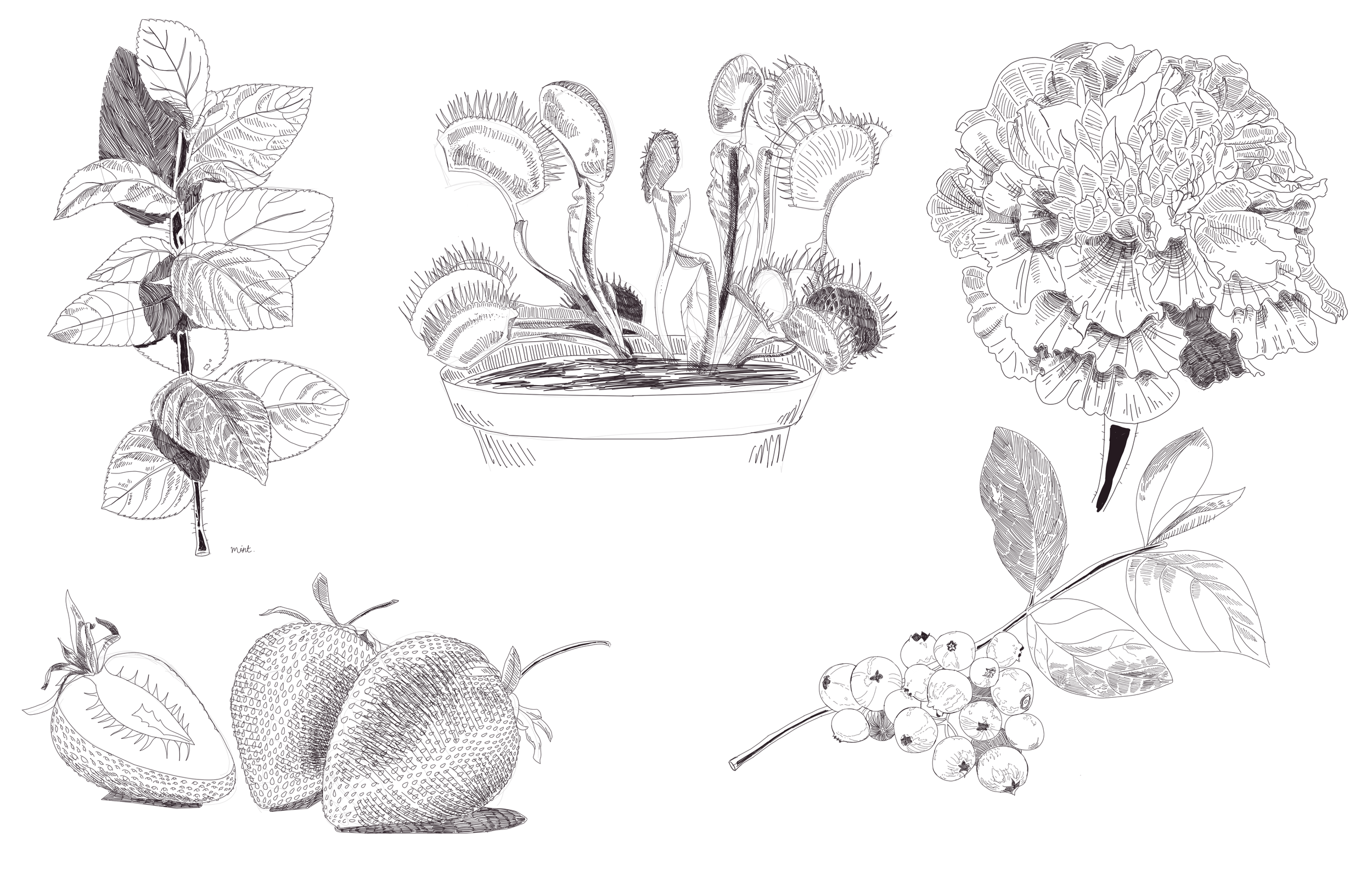 Floral Assignment5.png