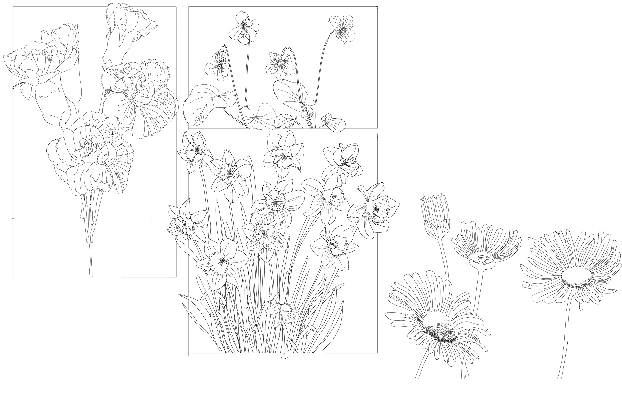 Floral Assignment7.png