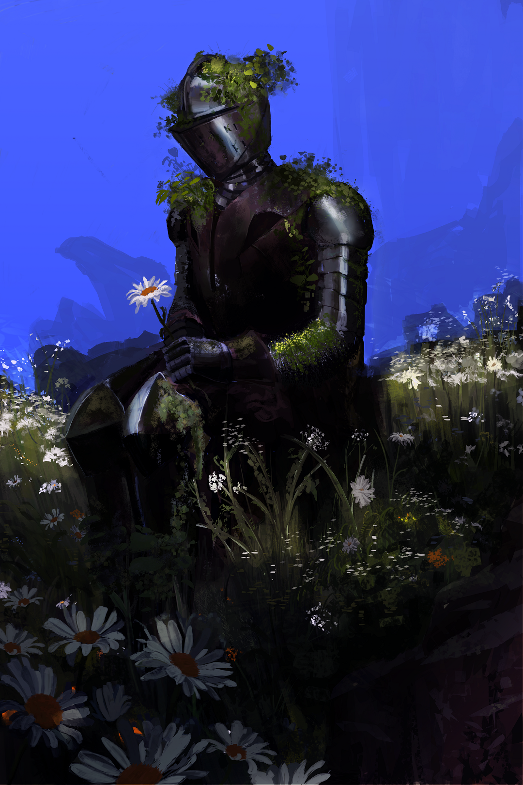 Paladinresize.png