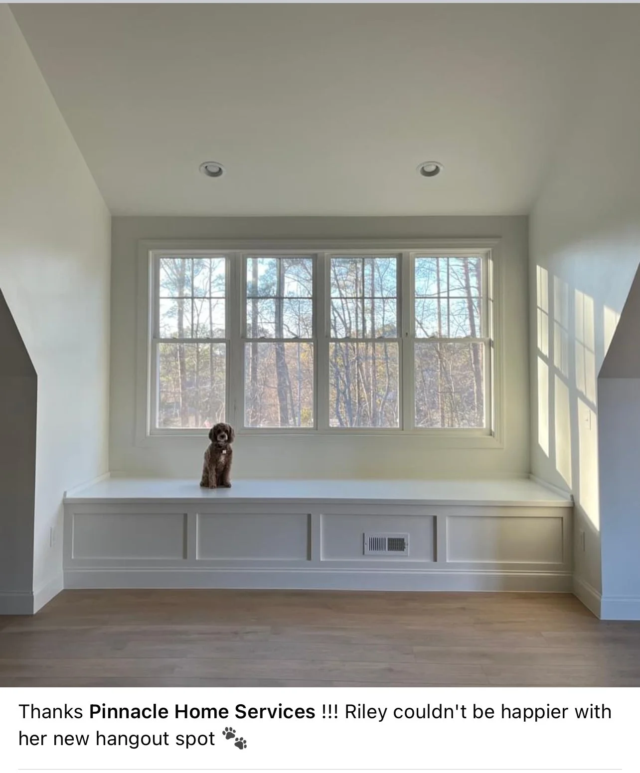 A small brown puppy sitting on a white built-in window seat in a bright room with large window overlooking trees outside.