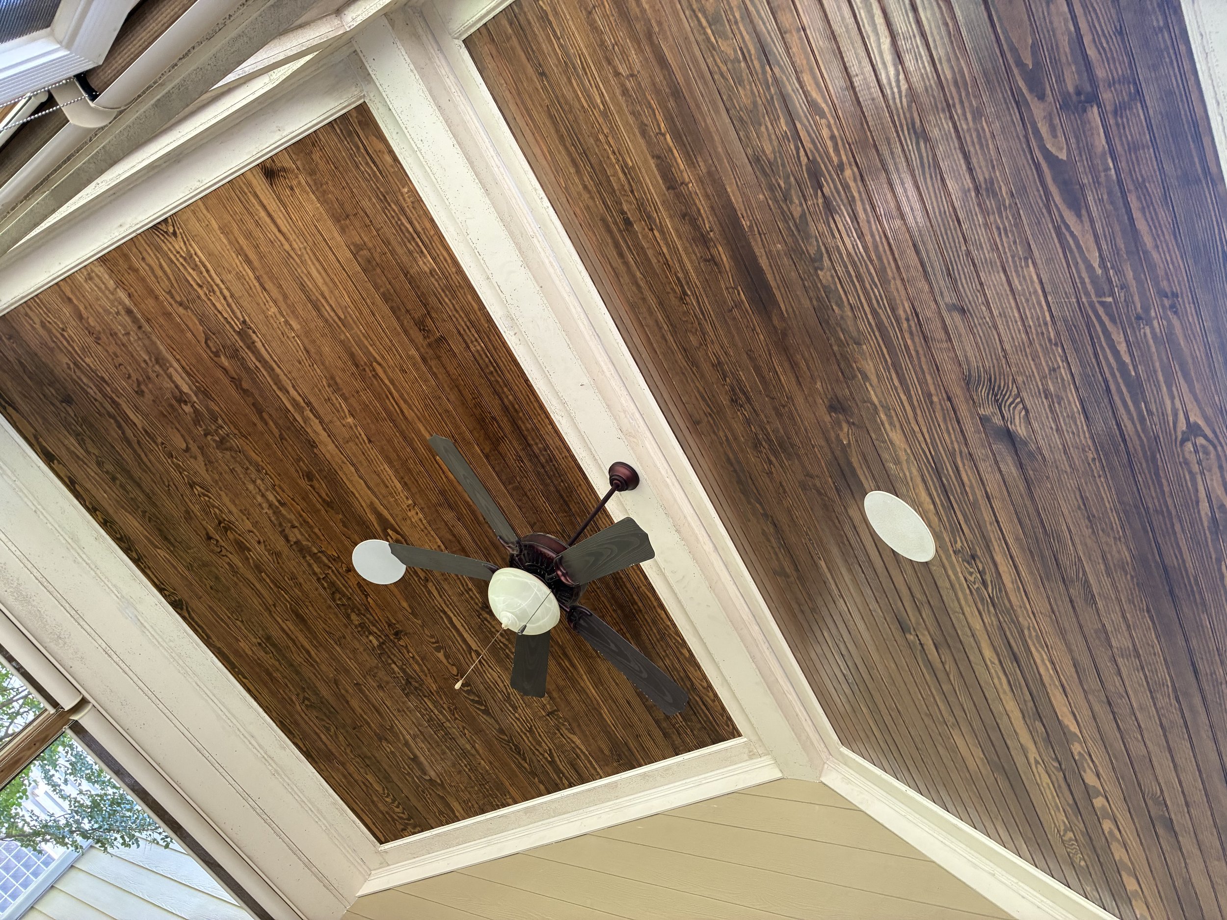 Interior ceiling with a wooden panel, white crown molding, a ceiling fan with black blades and a light fixture, and part of a window with a view of a tree outside.