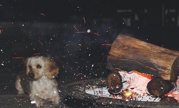 Chasing Embers, 2015