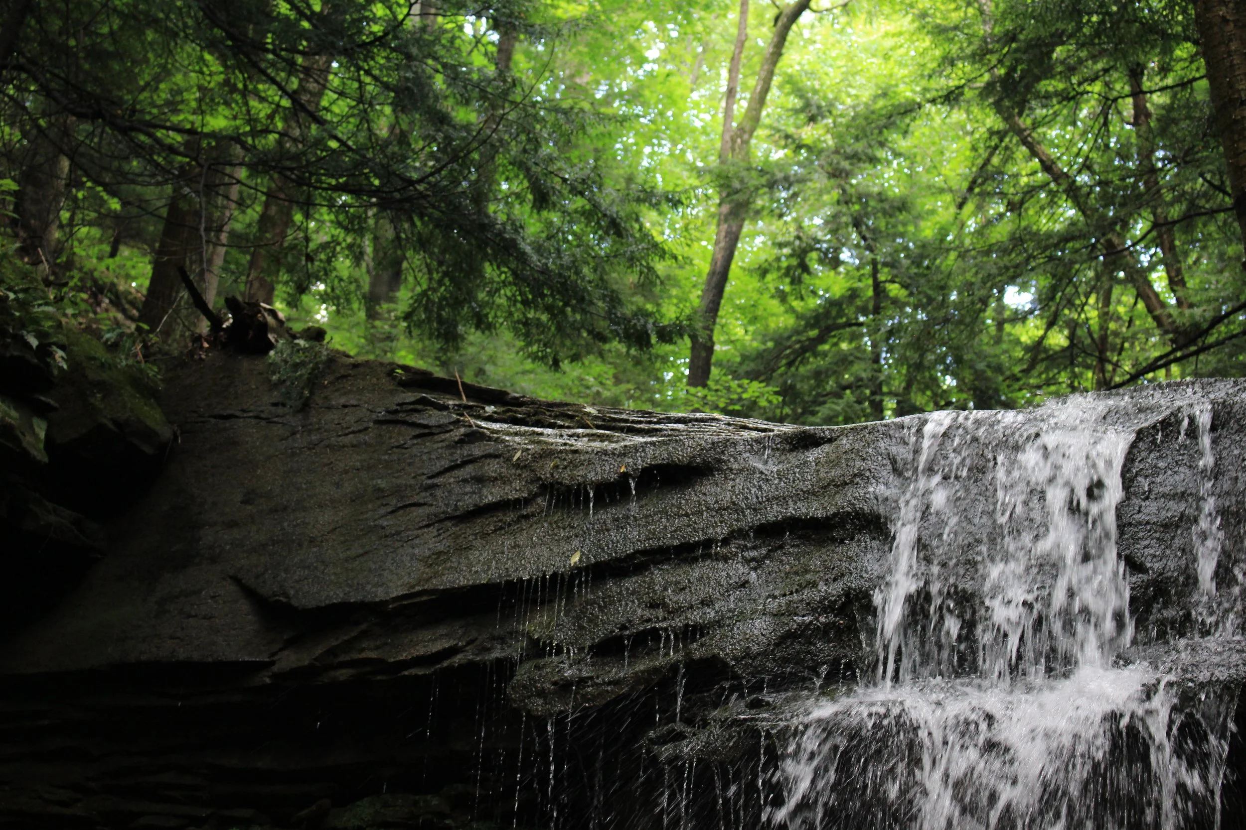 OVerflow, 2015