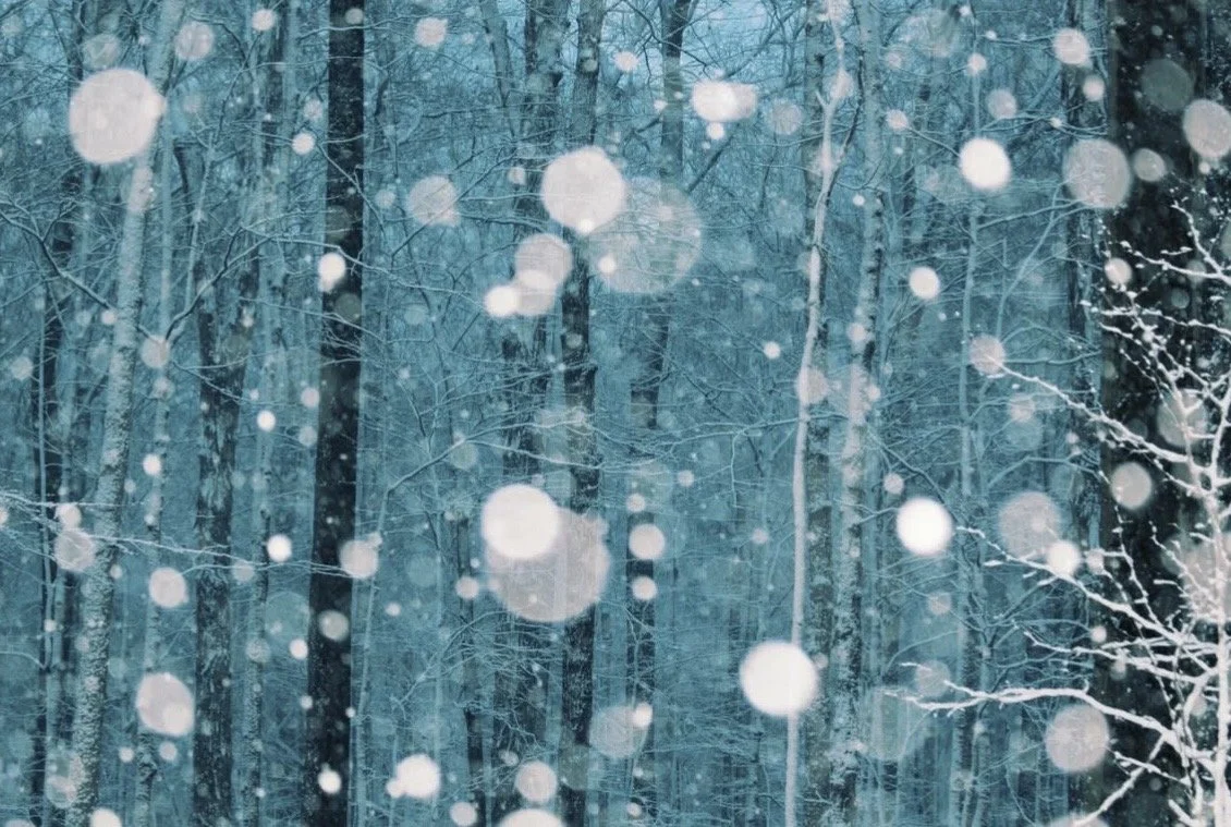 Snow Globe, 2023