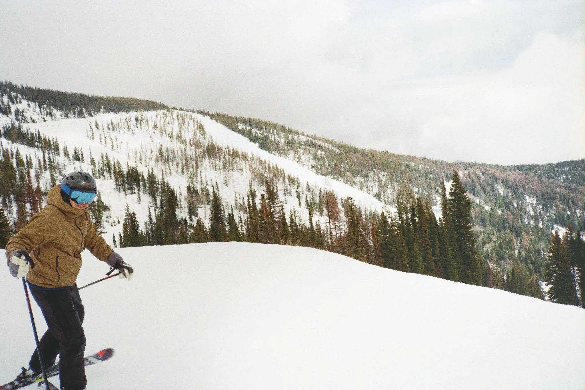 Skier in helmet and goggles on a snowy mountain slope surrounded by evergreen trees