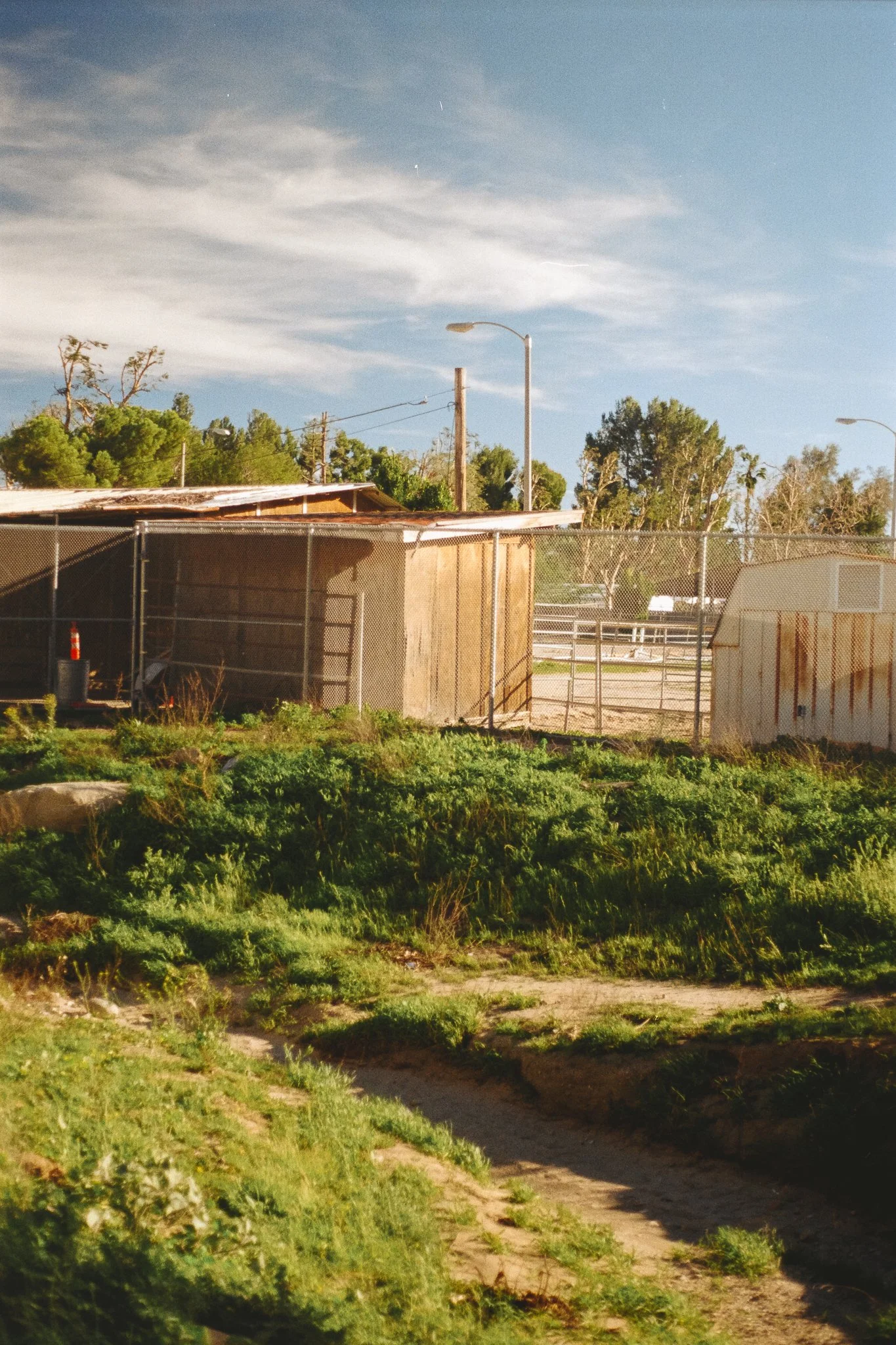 Sunlit grassy lot with dirt paths, chain-link fencing, utility sheds, streetlights, trees, and a blue sky