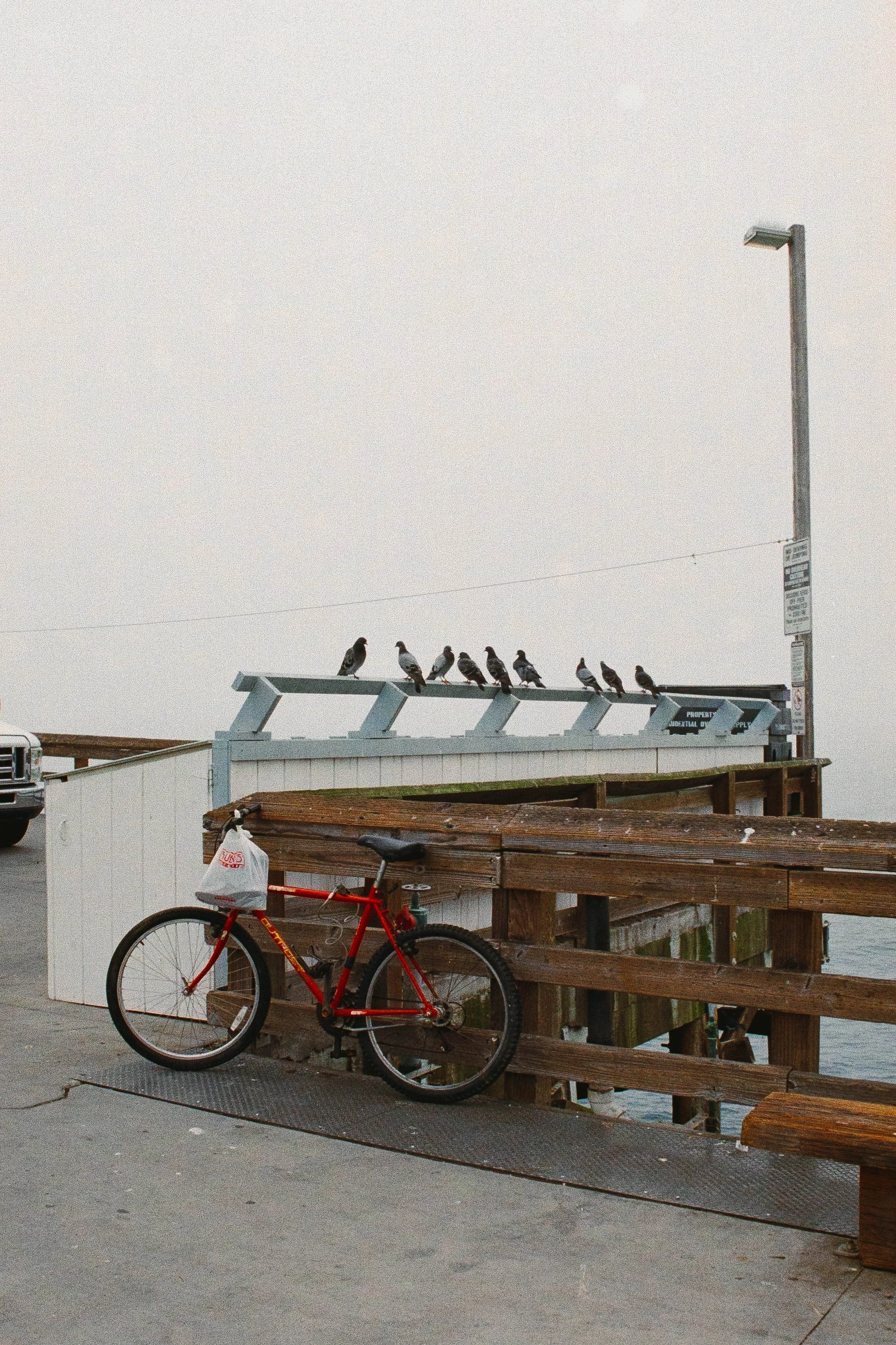 Pigeons perched on a waterfront pier railing above a red bicycle.