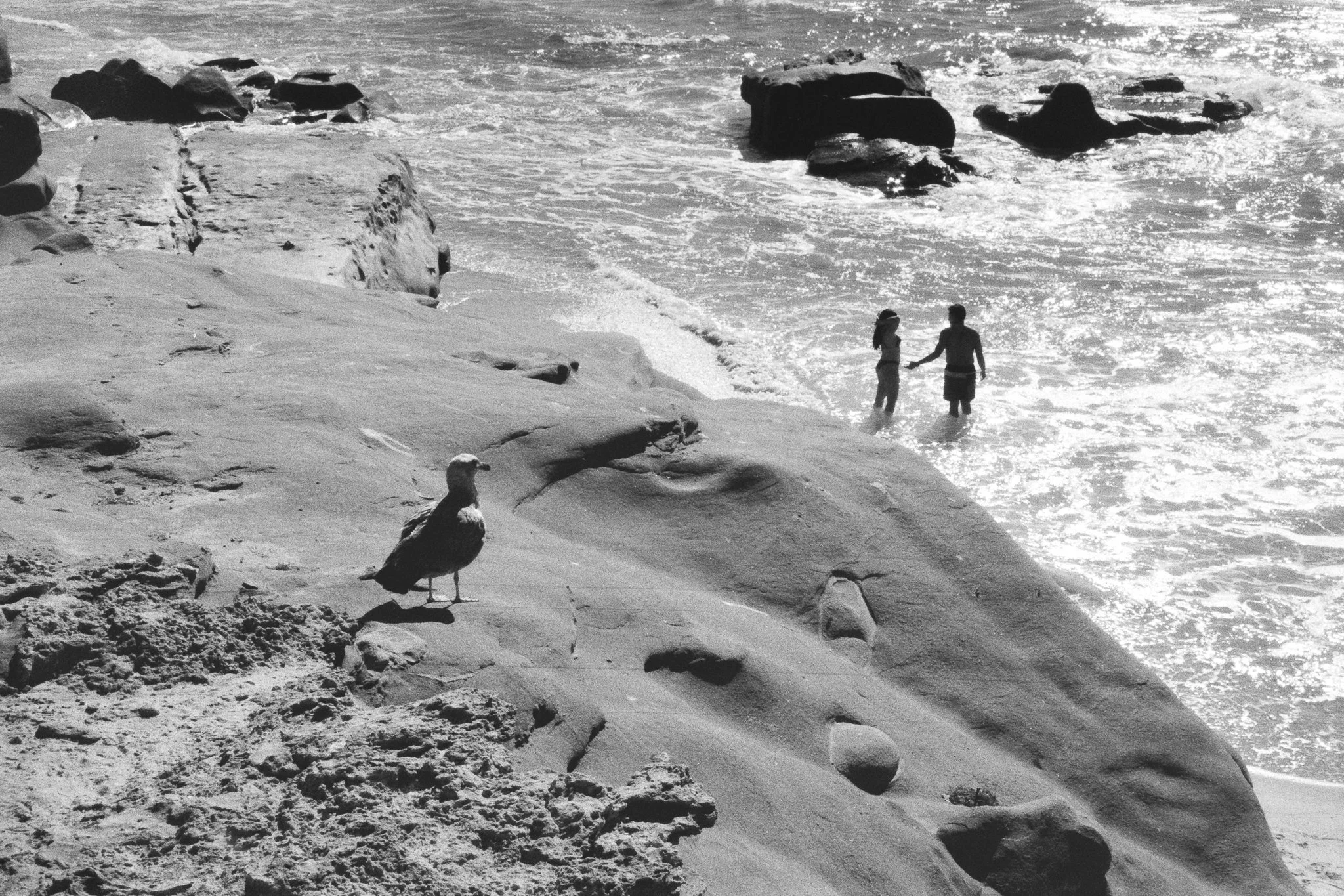 Black-and-white coastal scene with a seabird on a rocky shore, two people wading in the surf, and waves breaking around offshore rocks.