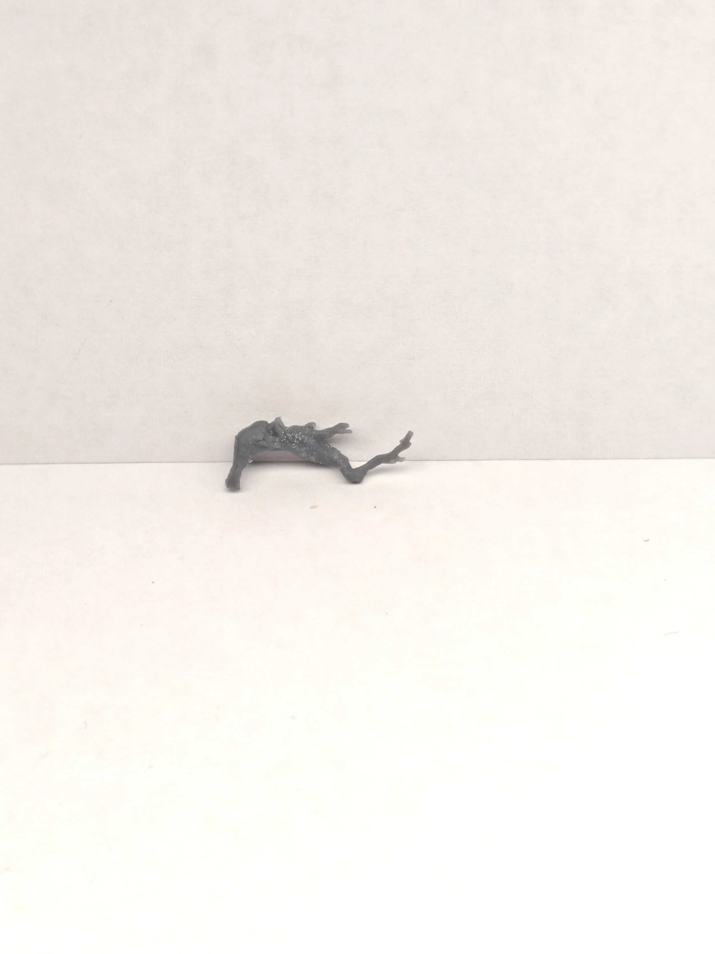 P_20261013_133342.jpg