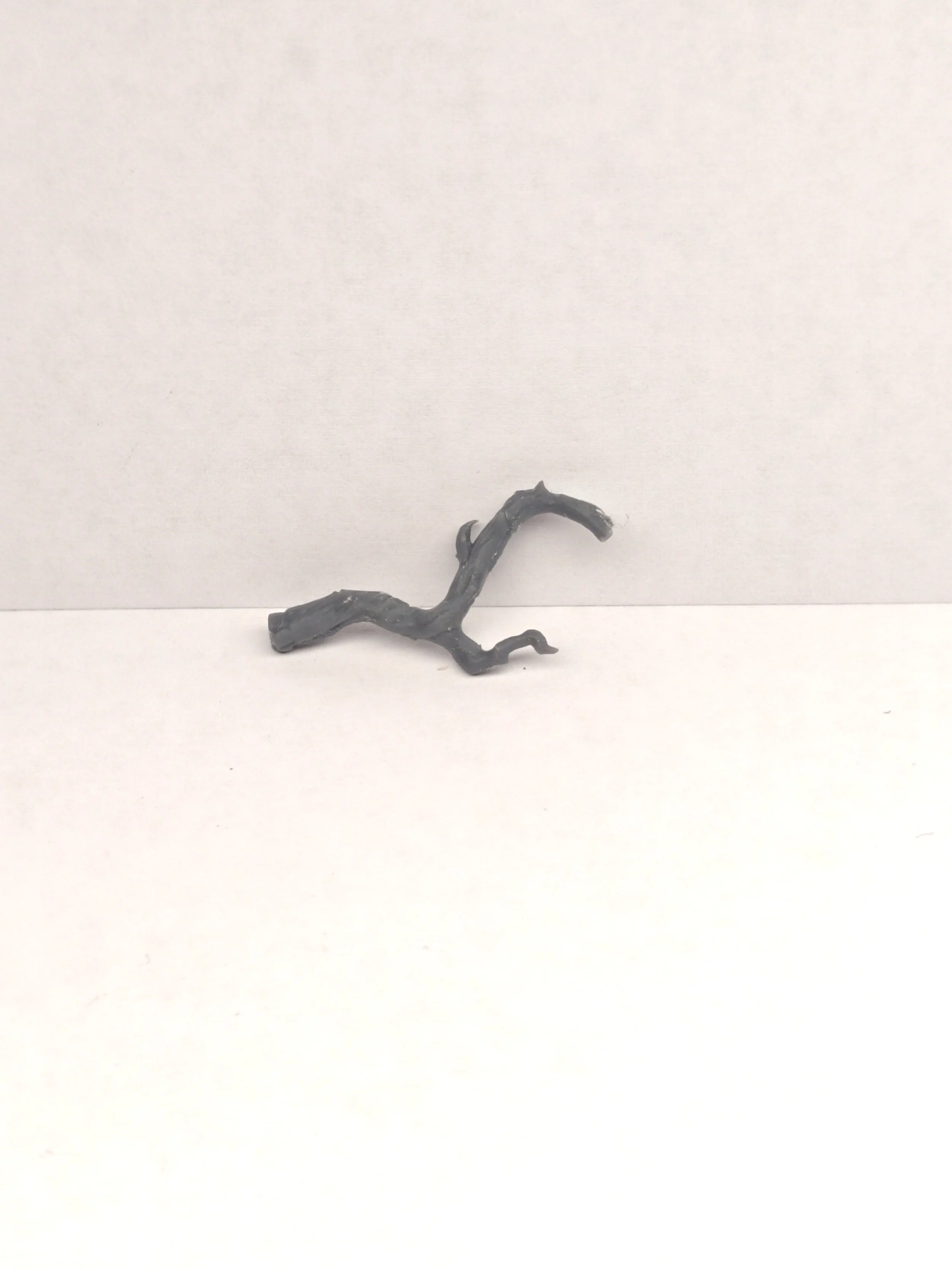 P_20261013_133350.jpg
