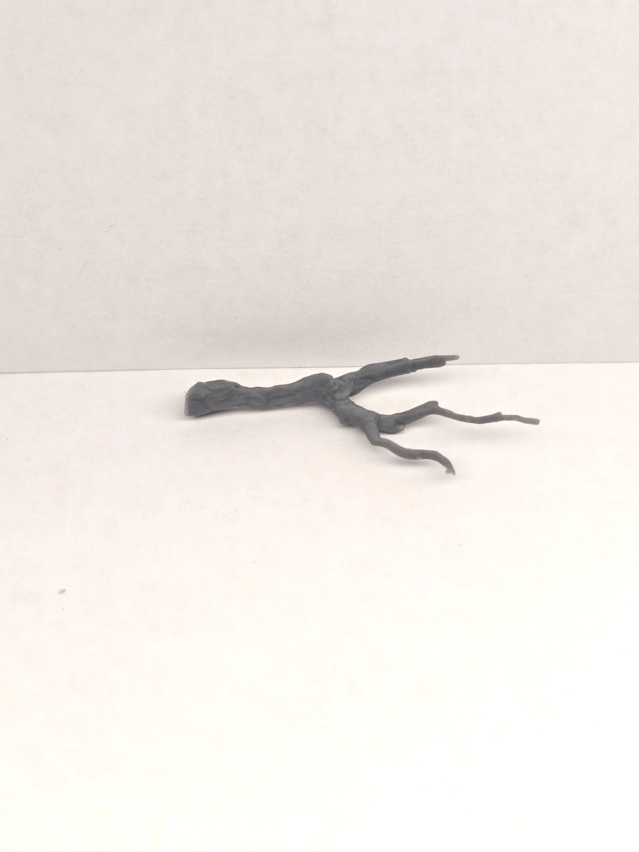 P_20261013_133231.jpg