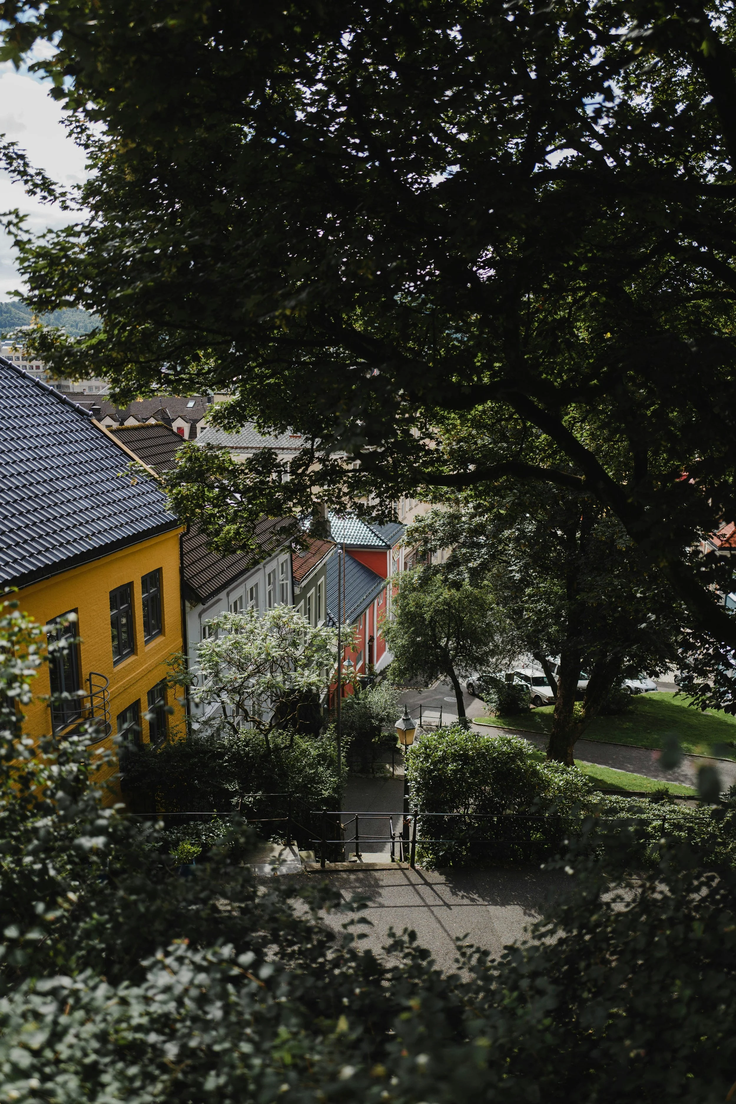 View of colorful houses with tiled roofs and lush trees in a neighborhood.