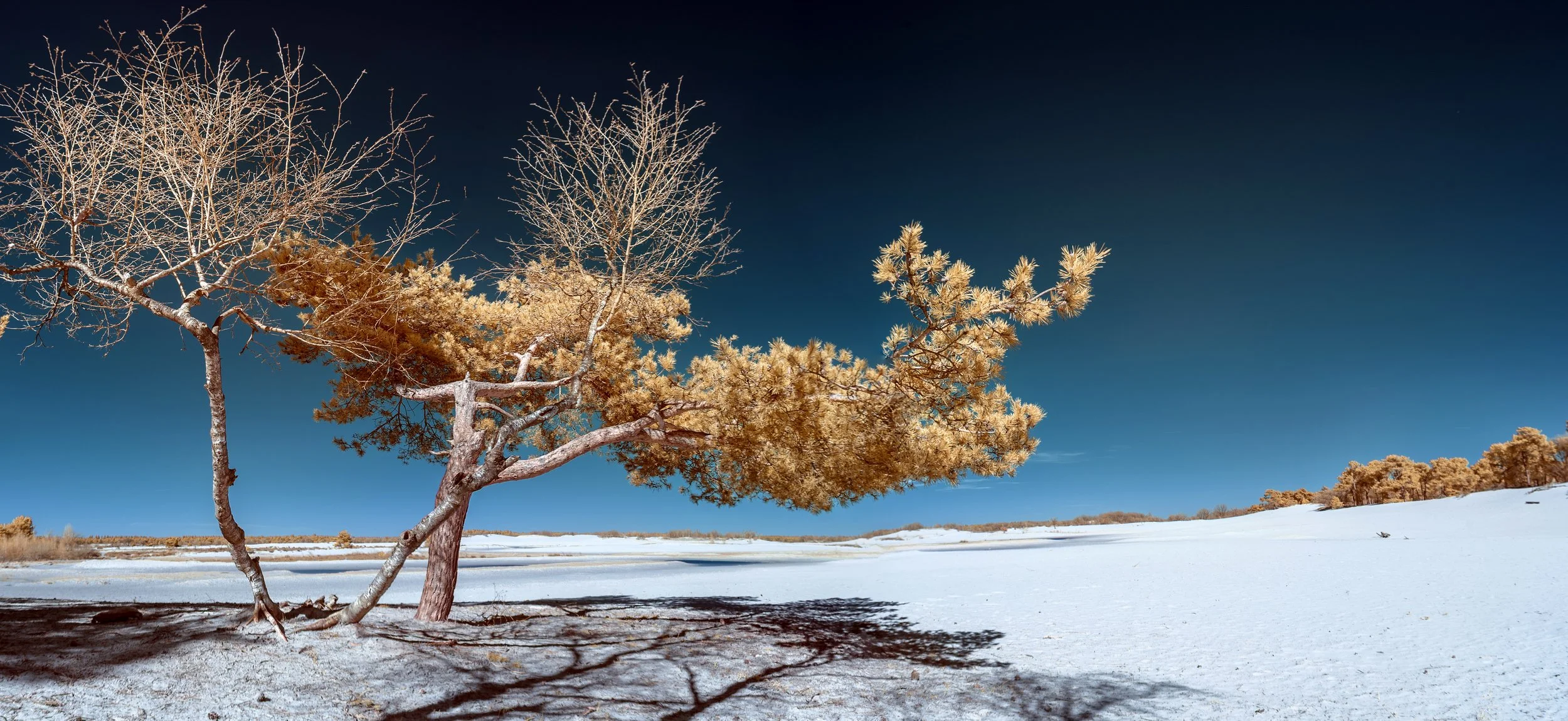 Drunense Duinen