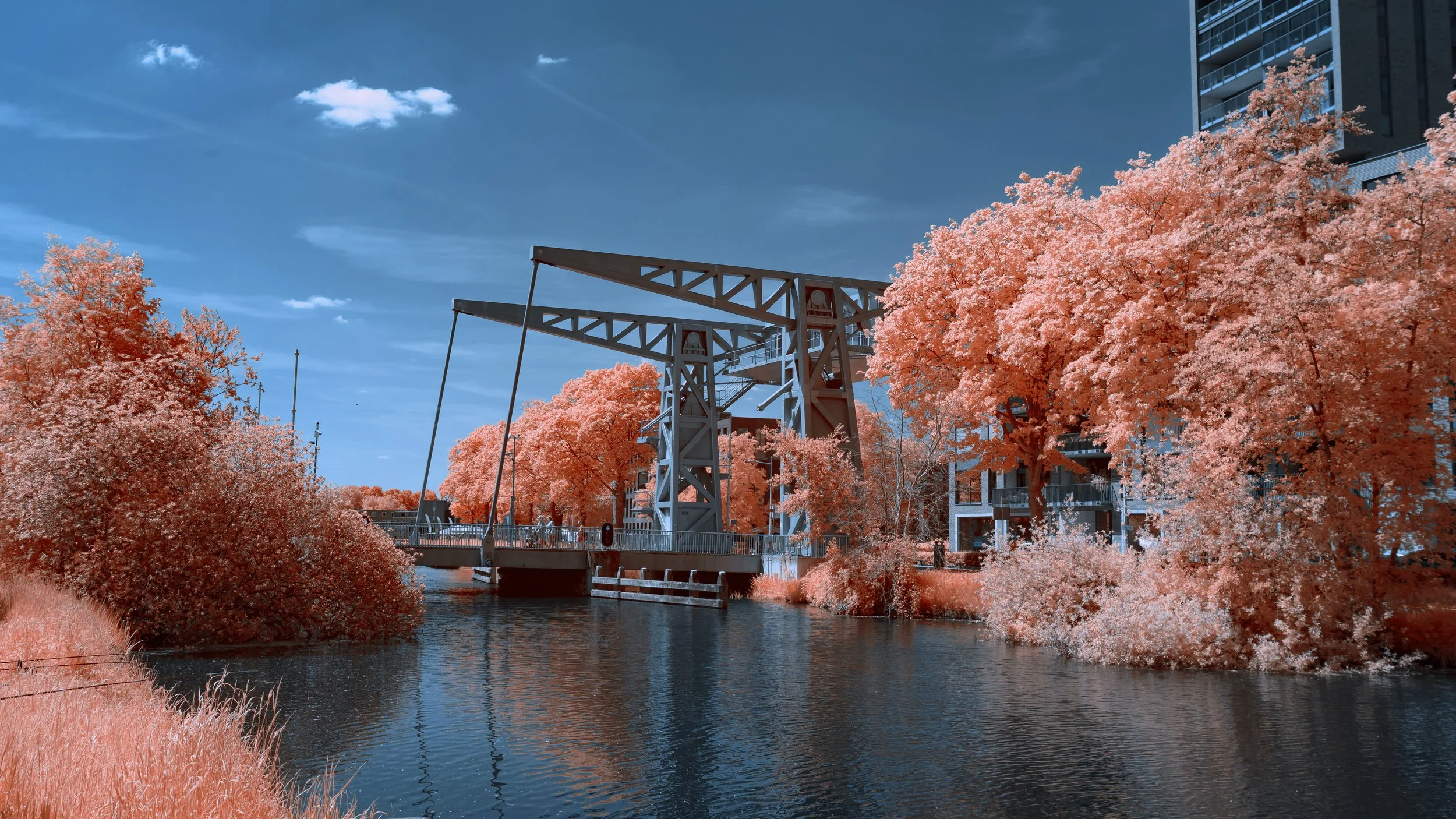 D'n ophef, Piushaven, Tilburg.