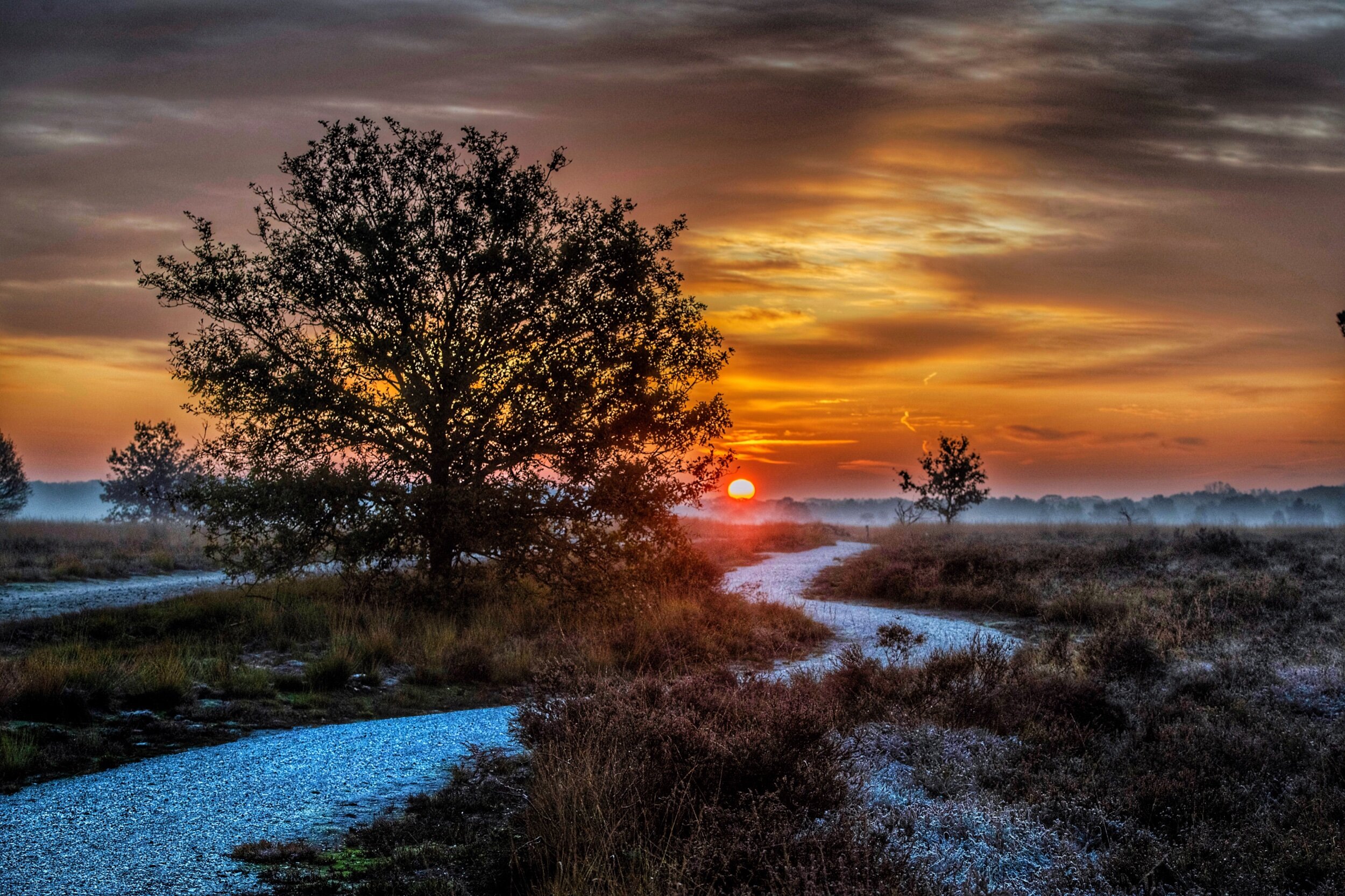Regte heide, Riel