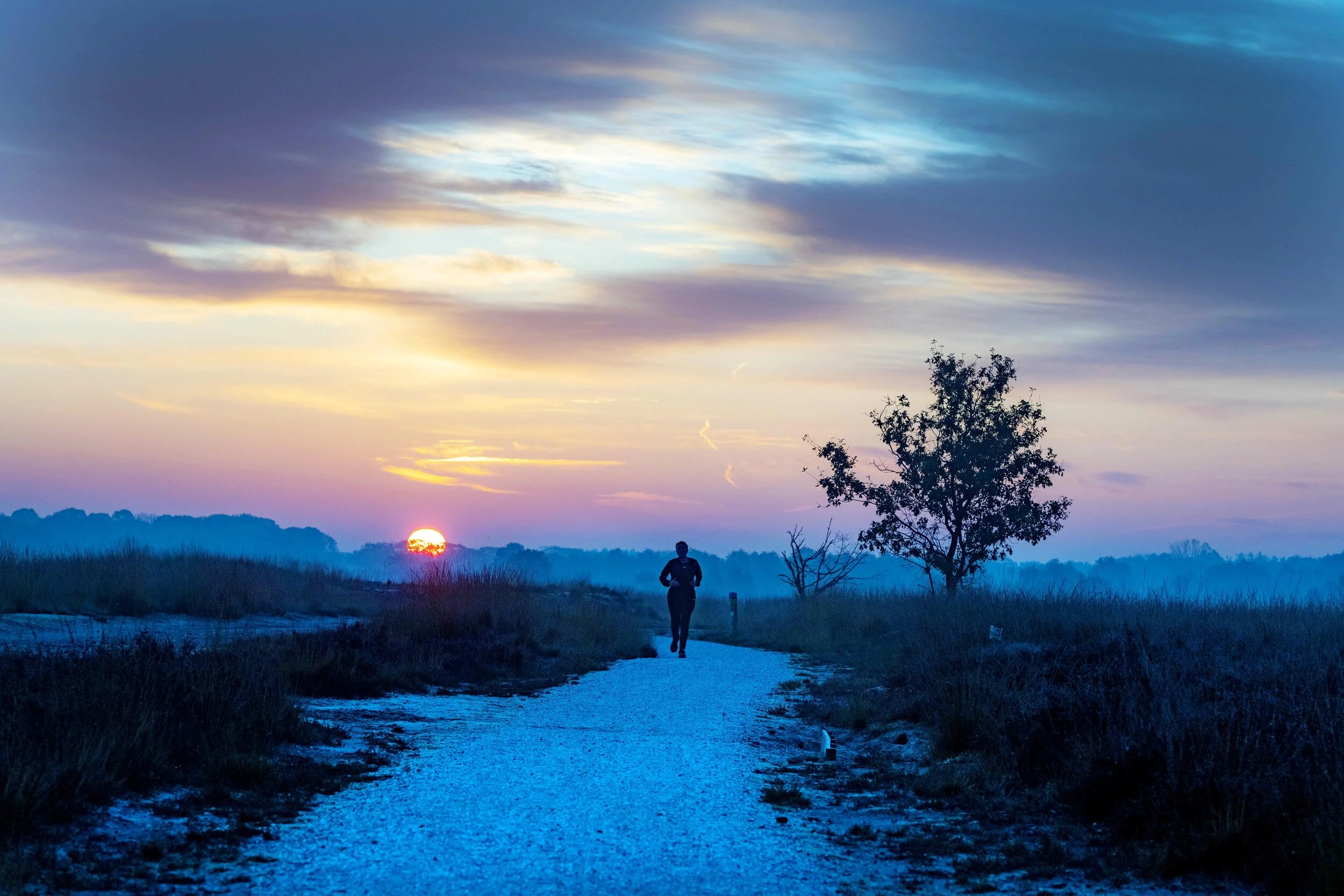 Regte heide, Riel