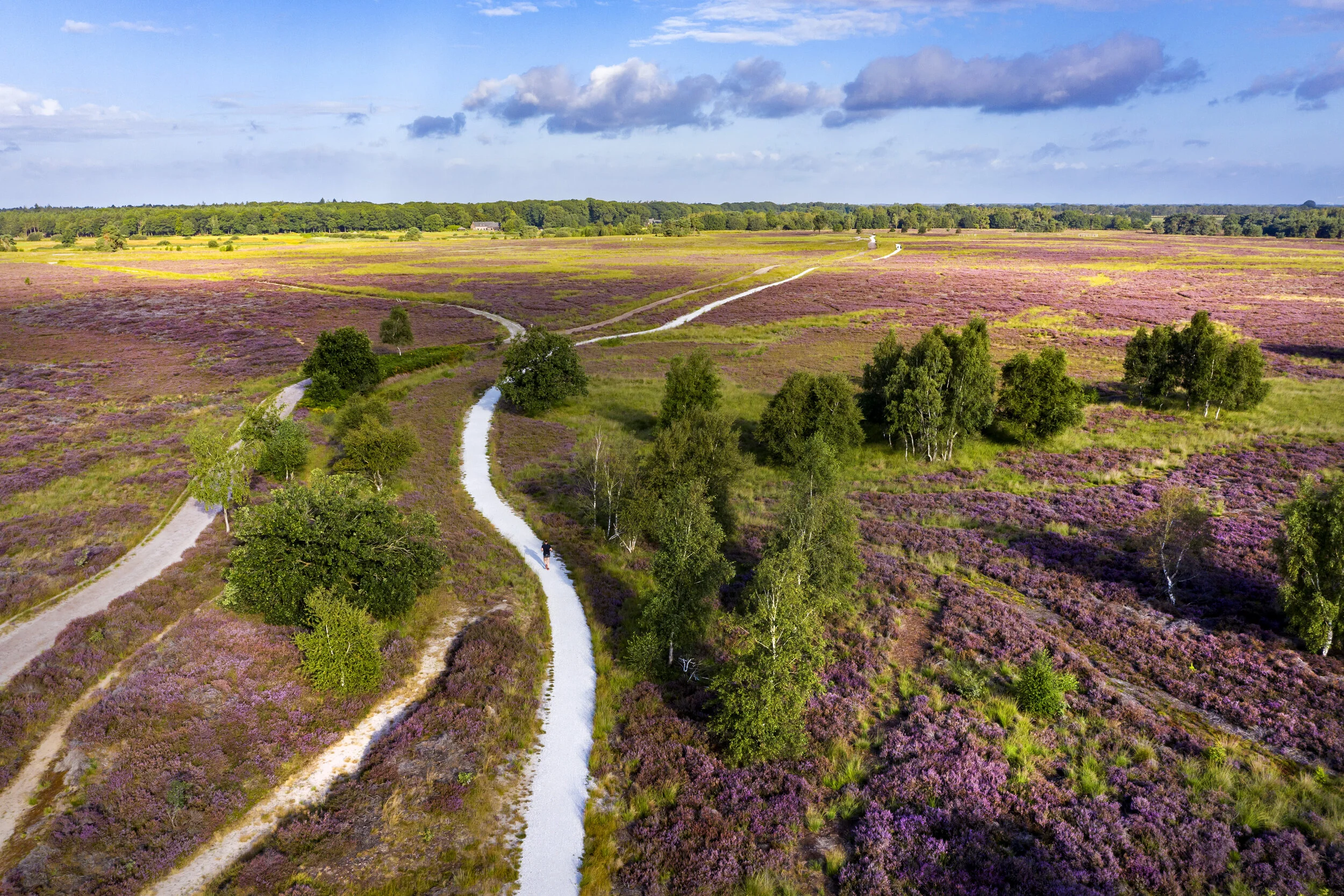 Regte Heide, Riel