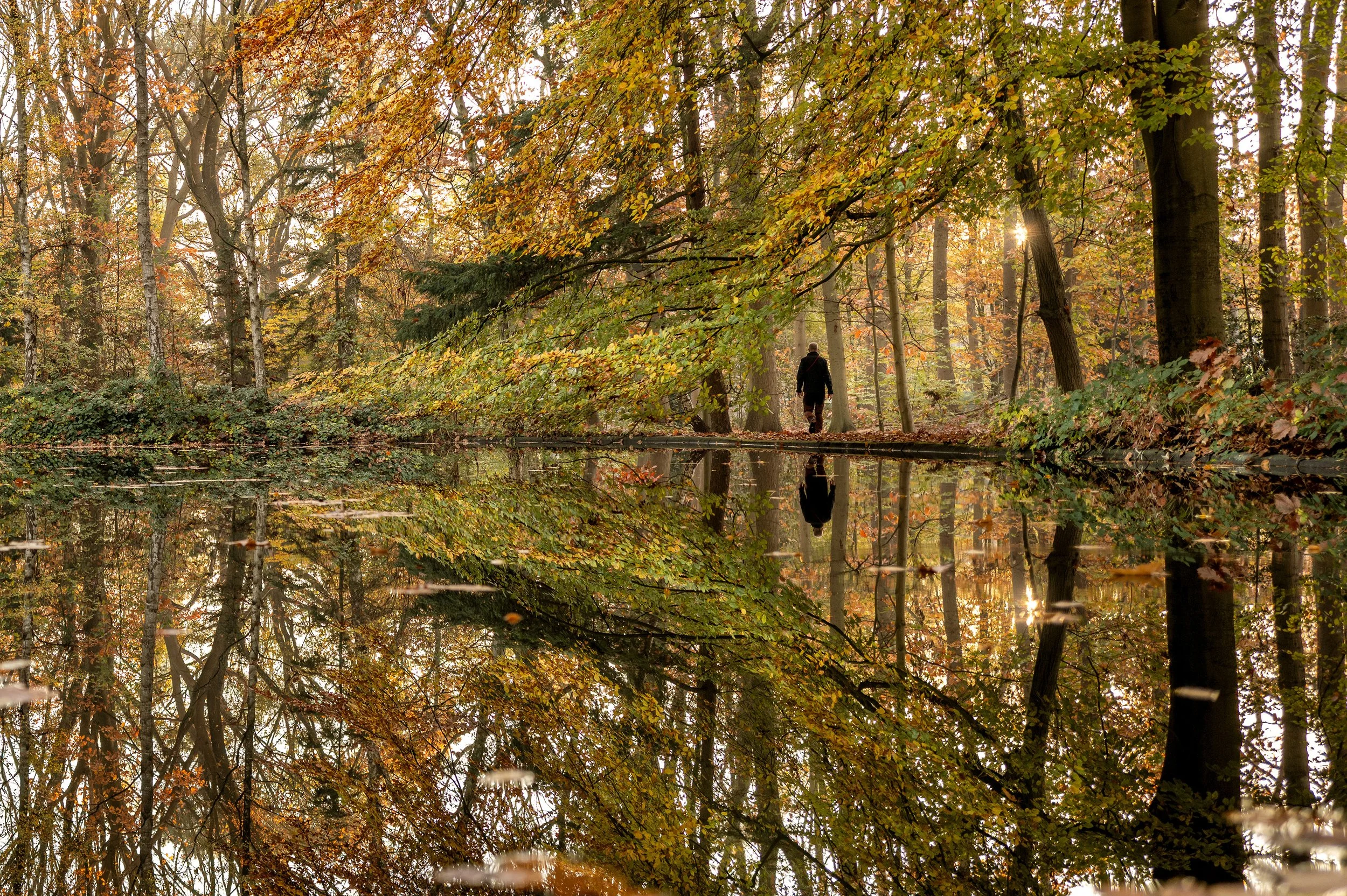 Uvt vijver, Tilburg