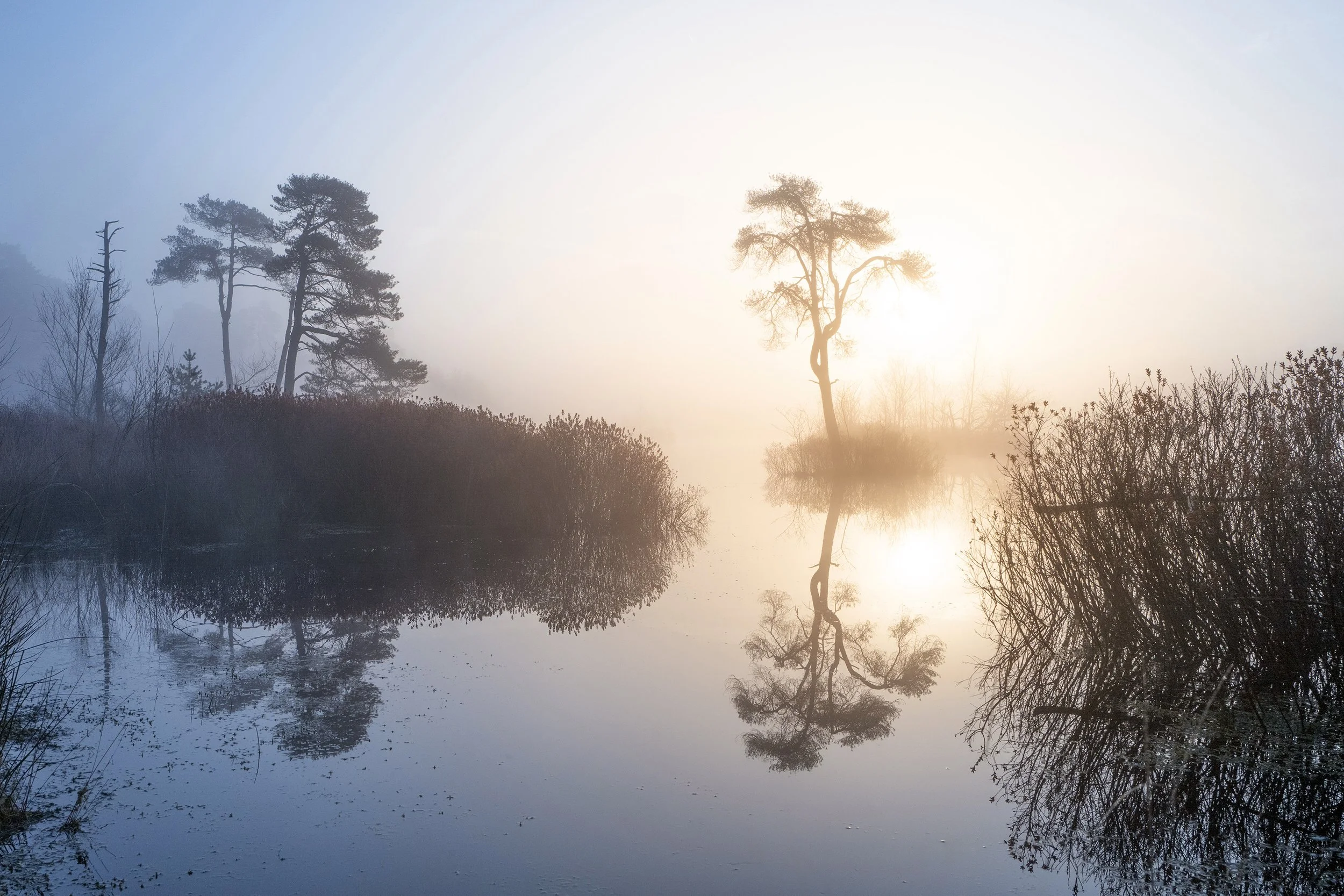 Goor ven, Oisterwijk