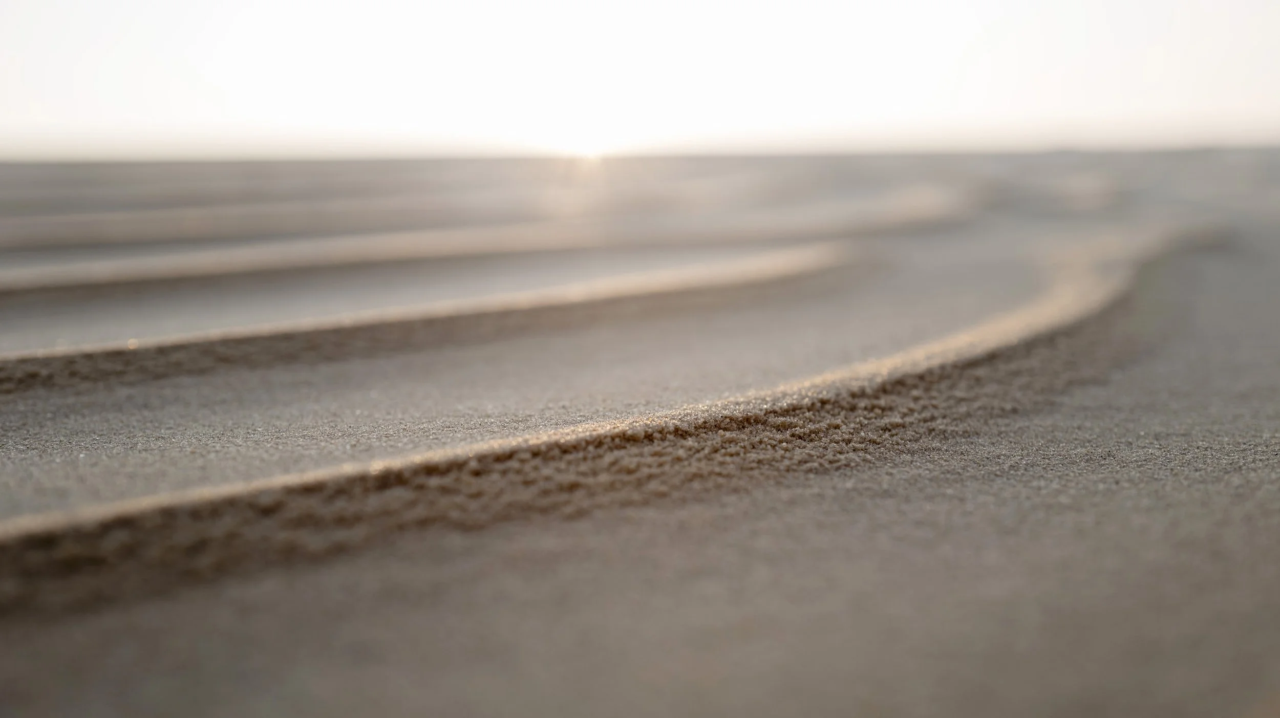 Zand duinen, Drunense Duinen