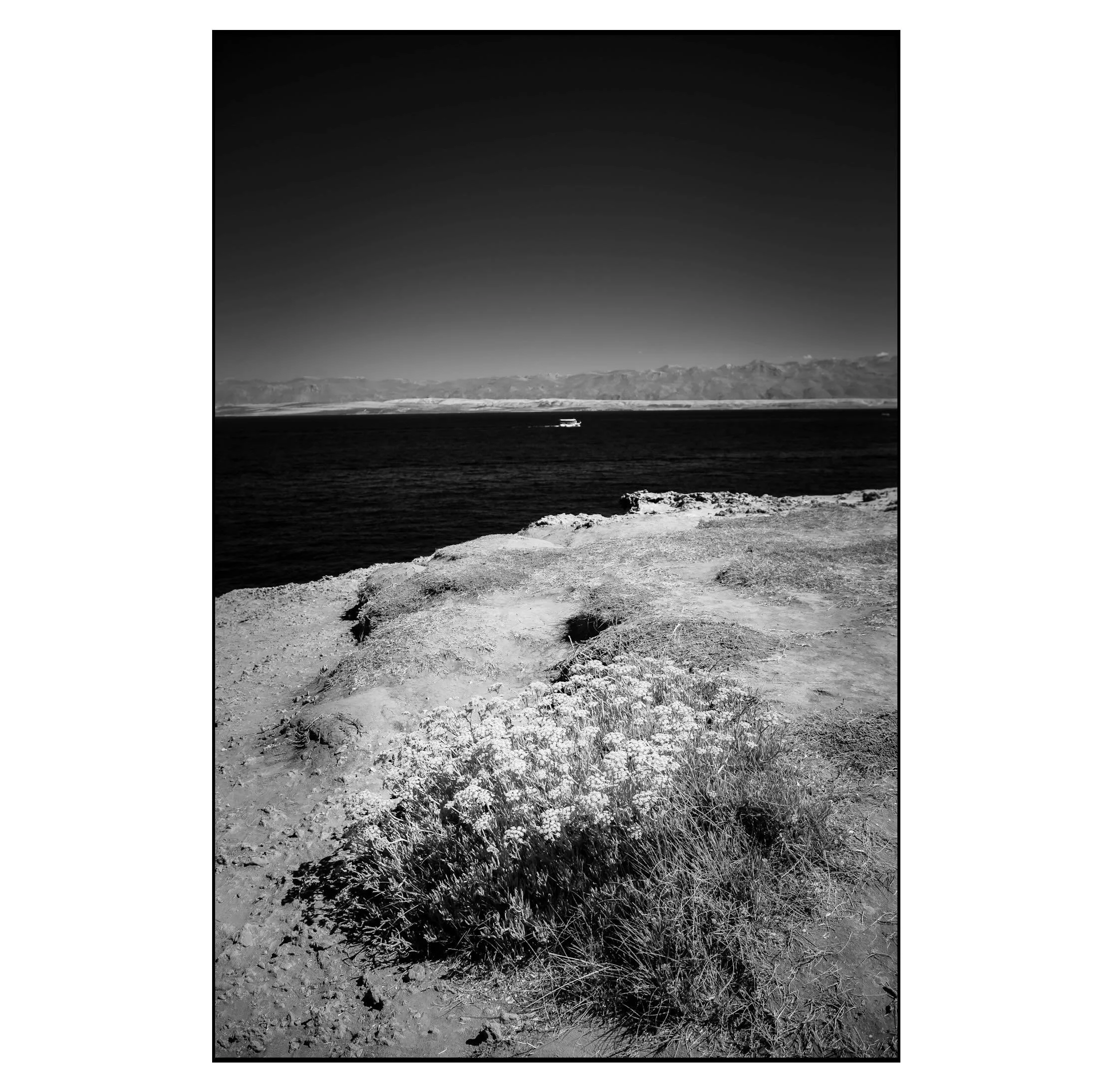 20260809, Otok Vir, Kroati&euml; 🇭🇷
Black and white infrared. 
NikonD610, 24-70mm, iso125, f6.3, 1/640sec.
#infrared #kroatie #infraredkroatie #mn590 #infraredlandscape