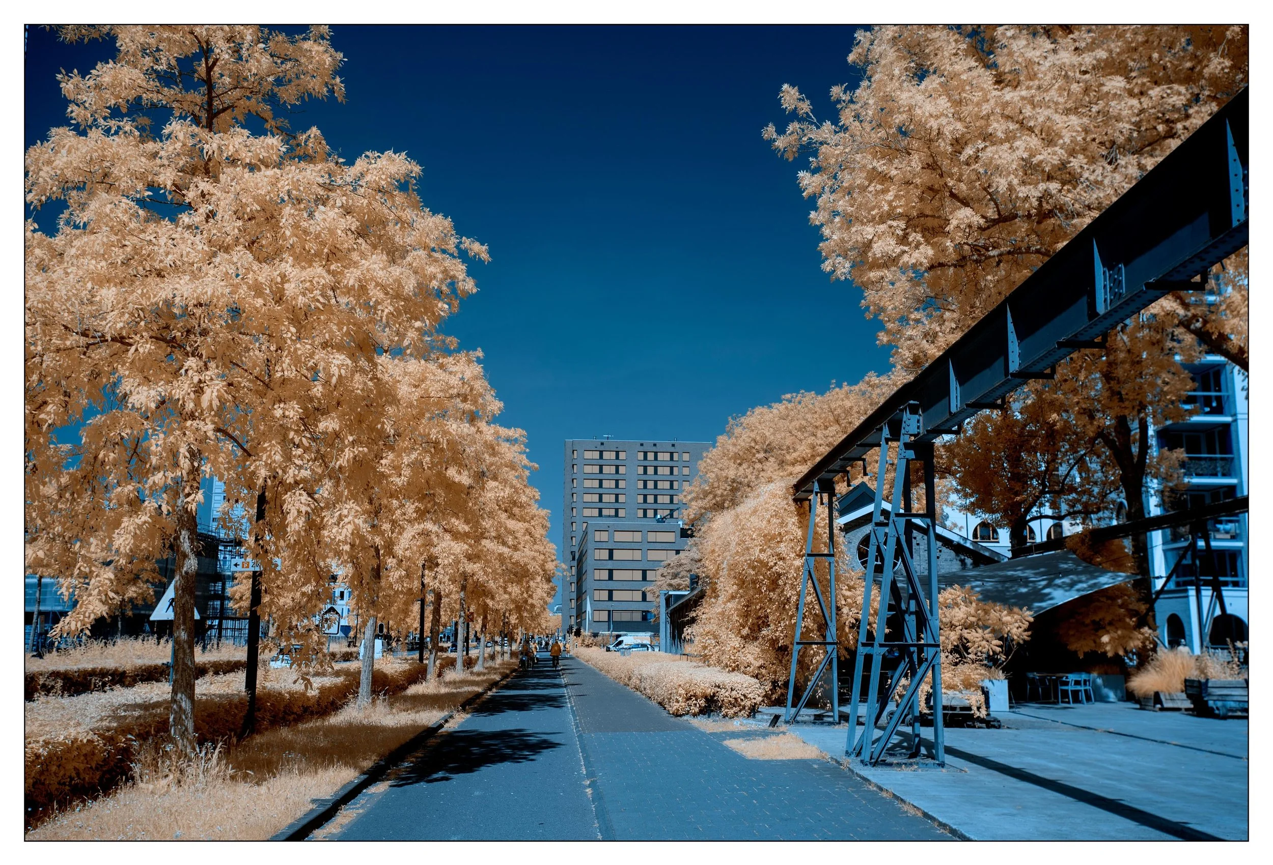 20260624, Spoorzone. Tilburg
NikonD610, R590Nm red filter, 
Iso100, f6,3, 1/320sec.
#infrared #spoorzone #tilburgcity 
#r590