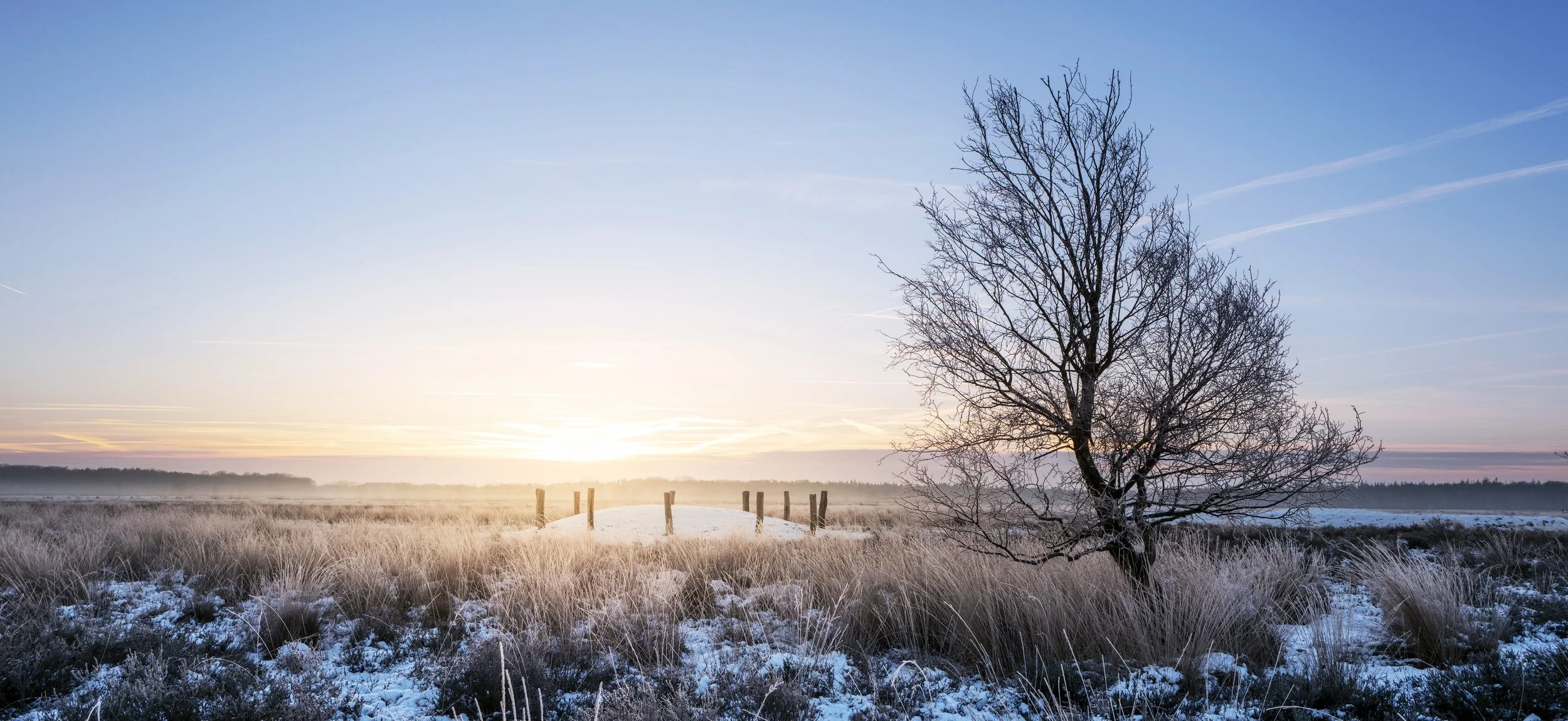 20240118 regte heide L1320618-Verbeterd-SR 23x50.jpg