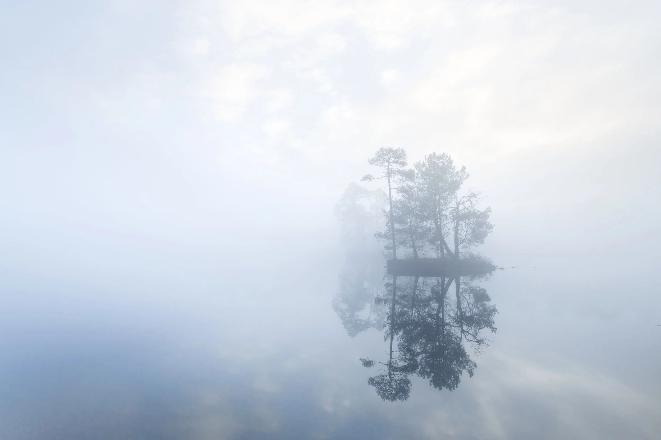 20221222 oisterwijk mist_JBF5548.jpg