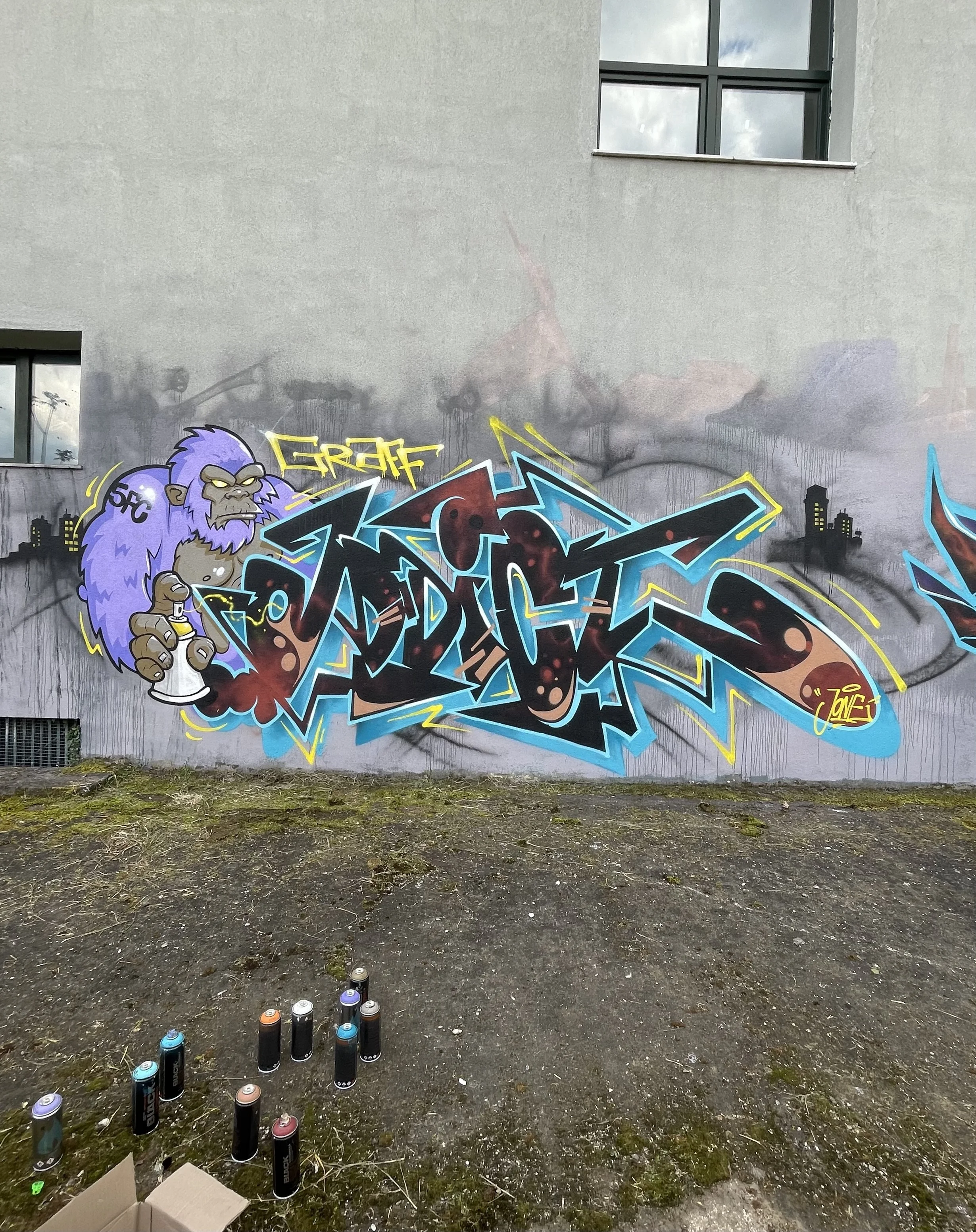IMG_7554.jpeg