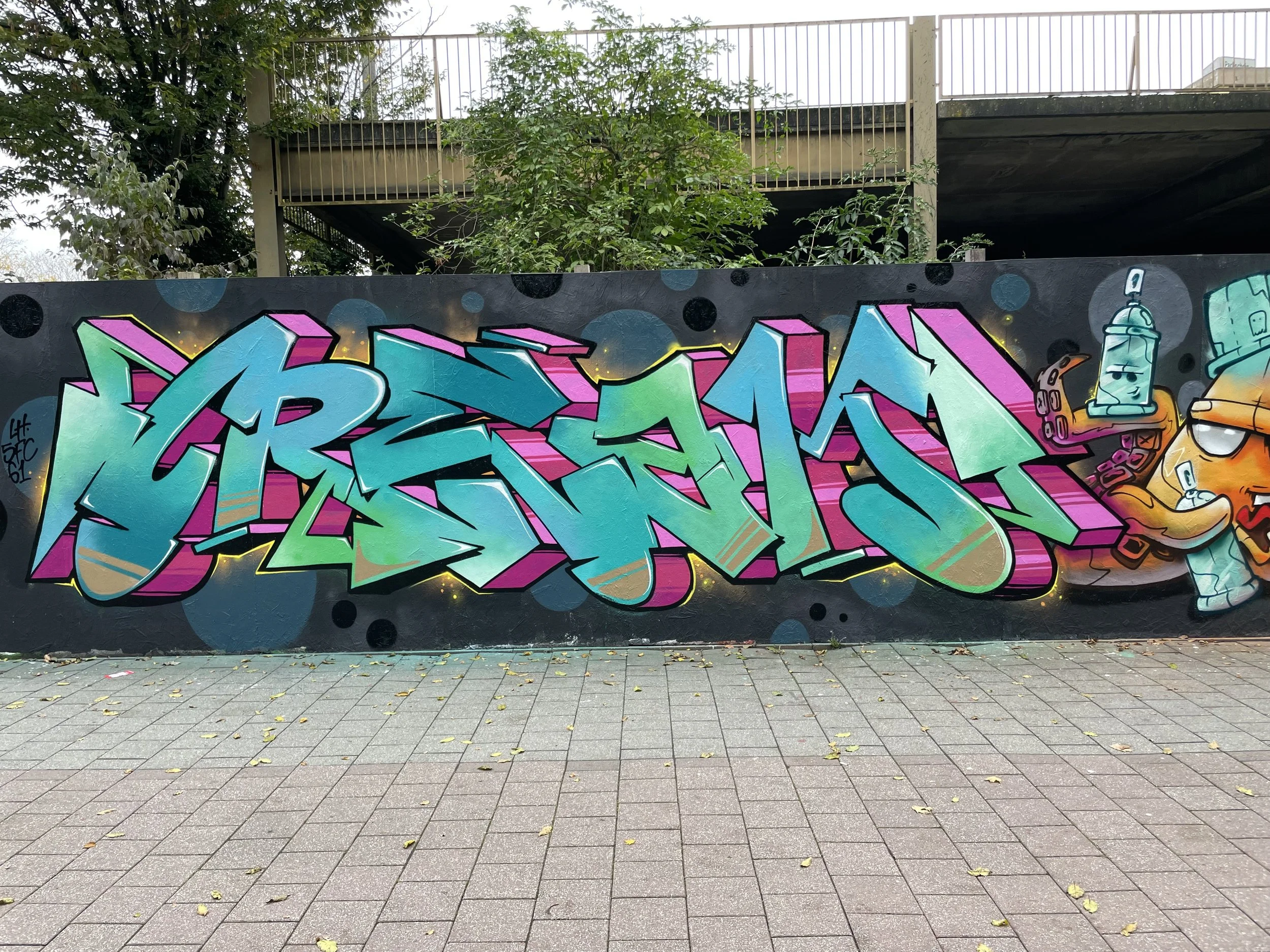 IMG_2597.jpeg
