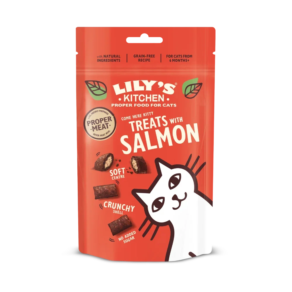 Lily's Kitchen Cat Salmon Pillow Treats 60g
