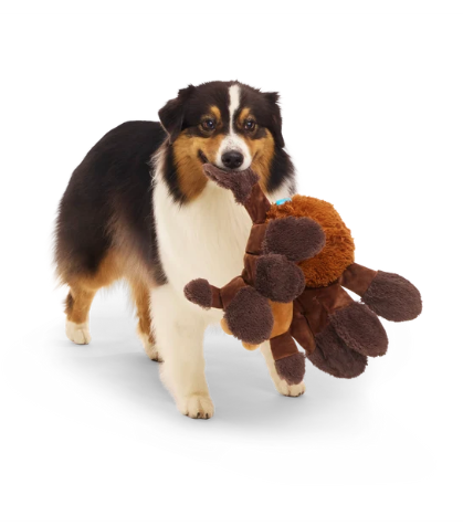 arana bark 2.png