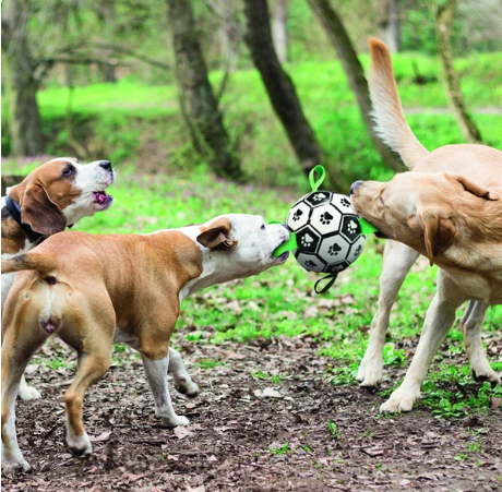 m-pets ball 2.png